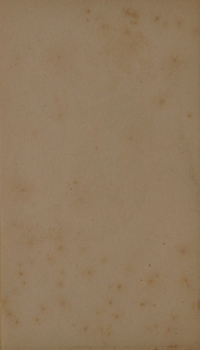 yy, eae cw aul ‘apt ae