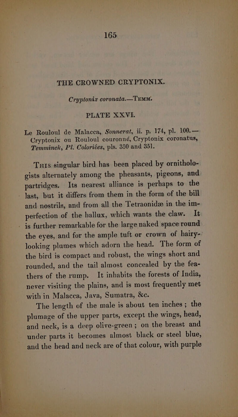 THE CROWNED CRYPTONIX. Cryptonix coronata.—TEMM. PLATE XXVI. Le Rouloul de Malacca, Sonnerat, ii. p. 174, pl. 100.— Cryptonix ou Rouloul couronné, Cryptonix coronatus, Temminck, Pl. Coloriées, pls. 350 and 351. Tars singular bird has been placed by ornitholo- gists alternately among the pheasants, pigeons, and partridges. Its nearest alliance is perhaps to the last, but it differs from them in the form of the bill and nostrils, and from all the Tetraonidz in the im- perfection of the hallux, which wants the claw. It the eyes, and for the ample tuft or crown of hairy- looking plumes which adorn the head. The form of the bird is compact and robust, the wings short and rounded, and the tail almost concealed by the fea- thers of the rump. It inhabits the forests of India, never visiting the plains, and is most frequently met with in Malacca, Java, Sumatra, &amp;c. The length of the male is about ten inches ; the plumage of the upper parts, except the wings, head, and neck, is a deep olive-green ; on the breast and under parts it becomes almost black or steel blue, and the head and neck are of that colour, with purple