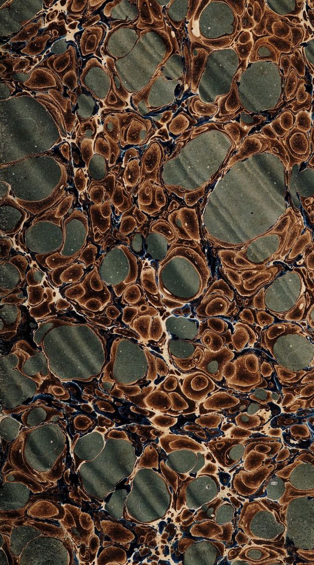 digitised image 3