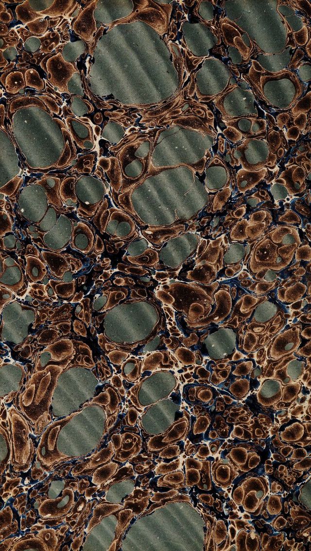 digitised image 2