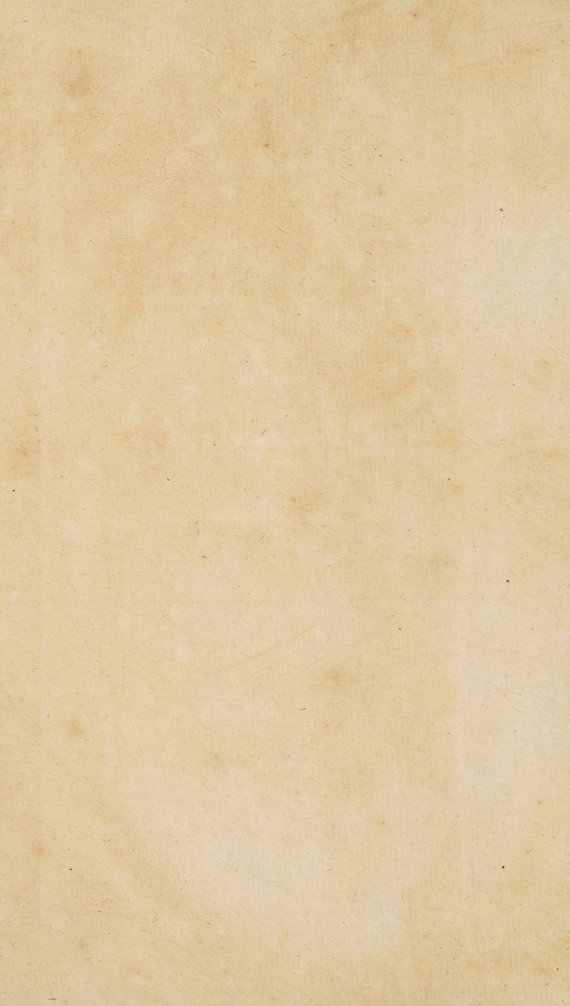 ■ y •t- t .1 • : <- . ■■ •.’• ■ -<5-. » . . i s. •>-. , ■'^- l ' ^