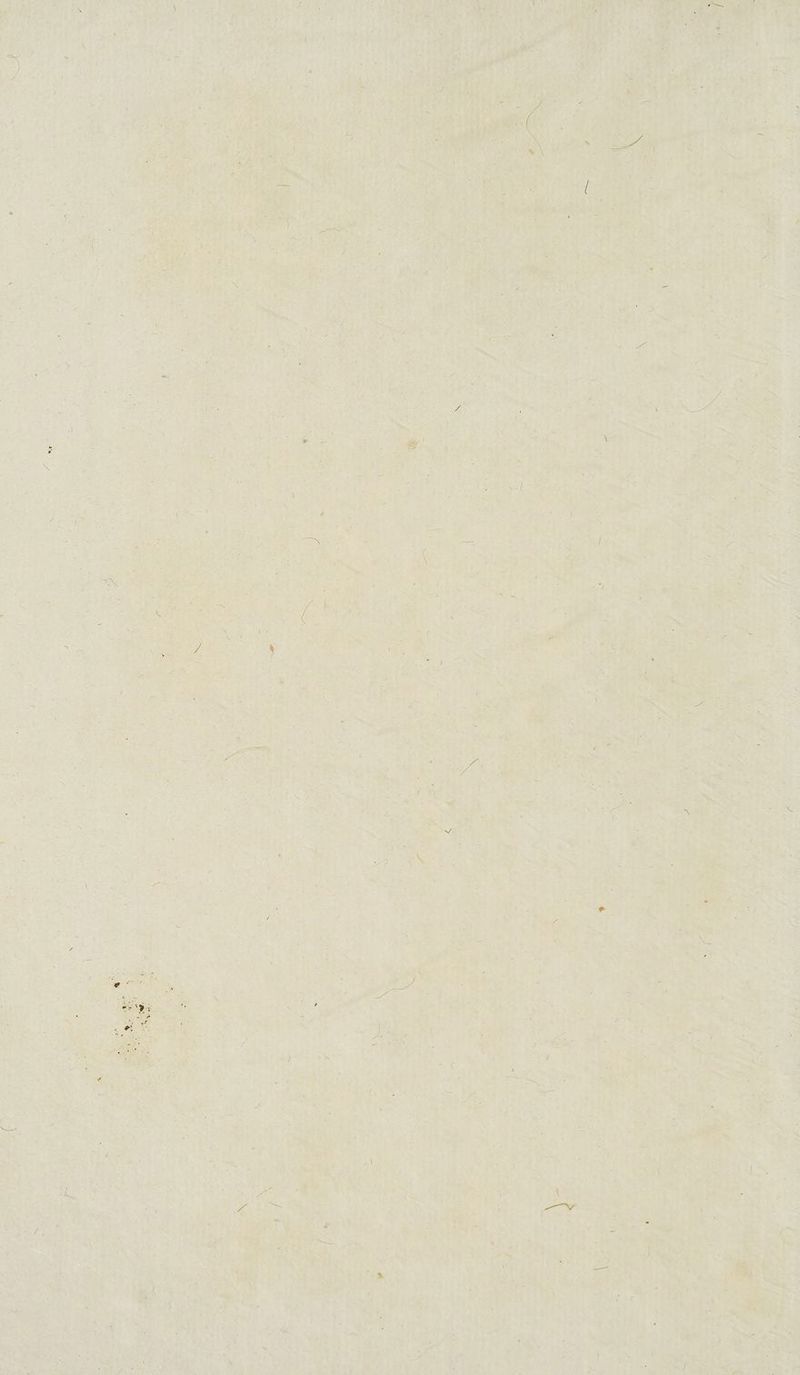 fl 1 t / / - v/ / * /