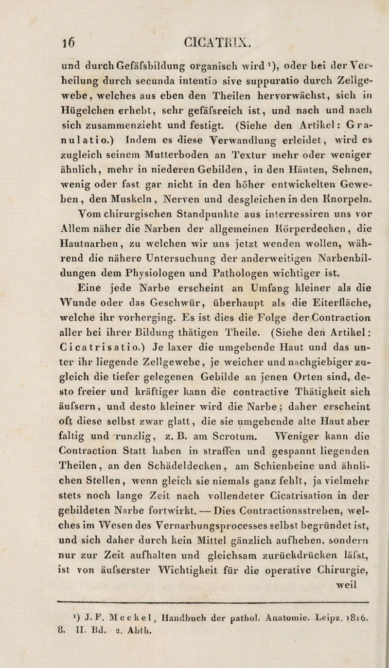 und durch Gefäfsbiidung organisch wird1), oder bei der Ver¬ heilung durch secunda intentio sive suppuratio durch Zelige- wehe, welches aus eben den Theilen hervorwächst, sich in Hügelchen erhebt, sehr gefäfsreich ist, und nach und nach sich zusammenzieht und festigt. (Siehe den Artikel: Gra¬ nulat io.) Indem es diese Verwandlung erleidet, wird es zugleich seinem Mutterboden an Textur mehr oder weniger ähnlich, mehr in niederen Gebilden, in den Häuten, Sehnen, wenig oder fast gar nicht in den höher entwickelten Gewe¬ ben , den Muskeln , Nerven und desgleichen in den Knorpeln. Vom chirurgischen Standpunkte aus interressiren uns vor xAllem näher die Narben der allgemeinen Körperdecken, die Hautnarben, zu wrelchen wir uns jetzt wenden wollen, wäh¬ rend die nähere Untersuchung der anderweitigen Narbenbil¬ dungen dem Physiologen und Pathologen wuchtiger ist. Eine jede Narbe erscheint an Umfang kleiner als die Wunde oder das Geschwür, überhaupt als die Eiterfläche, welche ihr vorherging. Es ist dies die Folge der Contraction aller bei ihrer Bildung thätigen Theile. (Siehe den Artikel: Cicatrisatio.) Je laxer die umgebende Haut und das un¬ ter ihr liegende Zellgewebe, je weicher und nachgiebiger zu¬ gleich die tiefer gelegenen Gebilde an jenen Orten sind, de¬ sto freier und kräftiger kann die contractive Thätigkeit sich äufsern, und desto kleiner wird die Narbe; daher erscheint oft diese selbst zwar glatt, die sie umgebende alte Haut aber faltig und runzlig, z. B. am Scrotum. Weniger kann die Contraction Statt haben in straffen und gespannt liegenden Theilen, an den Schädeldecken, am Schienbeine und ähnli¬ chen Stellen, wenn gleich sie niemals ganz fehlt, ja vielmehr stets noch lange Zeit nach vollendeter Cicatrisation in der gebildeten Narbe fortwirkt. — Dies Contractionsstreben, wel¬ ches im Wesendes Vernarbungsprocesses selbst begründet ist, und sich daher durch kein Mittel gänzlich aufheben, sondern nur zur Zeit aufhalten und gleichsam zurückdrücken läfst, ist von äufserster Wichtigkeit für die operative Chirurgie. weil *) J. F. Meckel, Handbuch der pathol. Anatomie. Leipz, 1816. 8. II. Bd. 2. Abth.