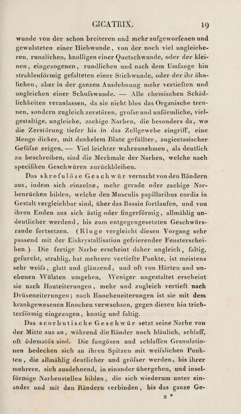 wunde von der schon breiteren und mehr aufgeworfenen und gewulsteten einer Hiebwunde, von der noch viel ungleiche¬ ren, runzlichen, knolligen einer Quetschwunde, oder der klei¬ nen , eingezogenen, rundlichen und nach dem Umfange hin strahlenförmig gefalteten einer Stichwunde, oder der ihr ähn¬ lichen, aber in der ganzen Ausdehnung mehr vertieften und ungleichen einer Schufswunde. — Alle chemischen Schäd¬ lichkeiten veranlassen, da sie nicht blos das Organische tren¬ nen, sondern zugleich zerstören, grofse und unförmliche, viel¬ gestaltige, ungleiche, zackige Narben, die besonders da, wo die Zerstörung tiefer bis in das Zellgewebe eingriff, eine Menge dicker, mit dunkelem Blute gefüllter, angiectasischer Gefäfse zeigen. — Viel leichter wahrzunehmen , als deutlich zu beschreiben, sind die Merkmale der Narben, welche nach specifiken Geschwüren Zurückbleiben. Das skrofulöse Geschwür vernarbt von den Bändern aus, indem sich einzelne, mehr gerade oder zackige Nar¬ benrücken bilden, welche den Musculis papillaribus cordis in Gestalt vergleichbar sind, über das Bassin fortlaufen, und von ihren Enden aus sich ästig oder fingerförmig, allmählig un¬ deutlicher werdend , bis zum entgegengesetzten Geschwürs¬ rande fortsetzen. (Kluge vergleicht diesen Vorgang sehr passend mit der Eiskrystallisation gefrierender Fensterschei¬ ben ) Die fertige Narbe erscheint daher ungleich, faltig, gefurcht, strahlig, hat mehrere vertiefte Punkte, ist meistens sehr weifs , glatt und glänzend, und oft von Härten und un¬ ebenen Wülsten umgeben. Weniger ungestaltet erscheint sie nach Hauteiterungen , mehr und zugleich vertieft nach Drüseneiterungen 5 nach Knocheneiterungen ist sie mit dem krankgewesenen Knochen verwachsen, gegen diesen hin trich¬ terförmig eingezogen , knotig und faltig. Das sco rbutisc he Geschwür setzt seine Narbe von der Mitte aus an, während die Ränder noch bläulich, schlaff, oft ödematös sind. Die fungösen und schlaffen Granulatio¬ nen bedecken sich an ihren Spitzen mit weifslichen Punk¬ ten , die allmählig deutlicher und gröfser werden, bis ihrer mehrere, sich ausdehnend, in einander übergehen, und insel¬ förmige Narbenstellen bilden , die sich wiederum unter ein¬ ander und mit den Rändern verbinden , bis das ganze Ge-