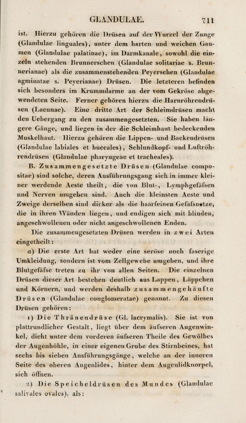ist. Hierzu gehören die Drüsen auf der Wurzel der Zunge (Glandulae linguales), unter dem harten und weichen Gau¬ men (Glandulae palatinae), im Darmkanale, sowohl die ein¬ zeln stehenden Brunnerschen (Glandulae solitariae s. Brun- nerianae) als die zusammenstehenden Peyerschen (Glandulae agminatae s. Peyerianae) Drüsen. Die letzteren befinden sich besonders im Krummdarme an der vom Gekröse abge¬ wendeten Seite. Ferner gehören hierzu die Harnröhrendrü¬ sen (Lacunae). Eine dritte Art der Schleimdrüsen macht den Uebergang zu den zusammengesetzten. Sie haben län¬ gere Gänge, und liegen in der die Schleimhaut bedeckenden Muskelhaut. Hierzu gehören die Lippen- und Backendrüsen (Glandulae labiales et buccales), Schlundkopf- und Luftröh¬ rendrüsen (Glandulae pharyngeae et tracheales). B. Zusammengesetzte Drüsen (Glandulae eompo- sitae) sind solche, deren Ausführungsgang sich in immer klei¬ ner werdende Aeste theilt, die von Blut-, Lymphgefäfsen und Nerven umgeben sind. Auch die kleinsten Aeste und Zweige derselben sind dicker als die haarfeinen Gefäfsnetze, die in ihren Wänden liegen, und endigen sich mit blinden, angeschwollenen oder nicht angeschwollenen Enden. Die zusammengesetzten Drüsen werden in zwei Arten eingetheilt: a) Die erste Art hat weder eine seröse noch faserige Umkleidung, sondern ist vom Zellgewebe umgeben, und ihre Blutgefäfse treten zu ihr von allen Seiten. Die einzelnen Drüsen dieser Art bestehen deutlich aus Lappen, Läppchen und Körnern, und werden deshalb zusammengehäufte D rlisen (Glandulae conglonieratae) genannt. Zu diesen Drüsen gehören: 1) Die Thränendrüse (Gl. lacrymalis). Sie ist von plattrundlicher Gestalt, liegt über dem äufseren Augenwin¬ kel, dicht unter dem vorderen äufseren Theile des Gewölbes der Augenhöhle, in einer eigenen Grube des Stirnbeines, hat sechs bis sieben Ausführungsgänge, welche an der inneren Seite des oberen Augenlides, hinter dem Augenlidknorpel, sich öffnen. 2) Die Speicheldrüsen des Mundes (Glandulae salivales ovales), als: