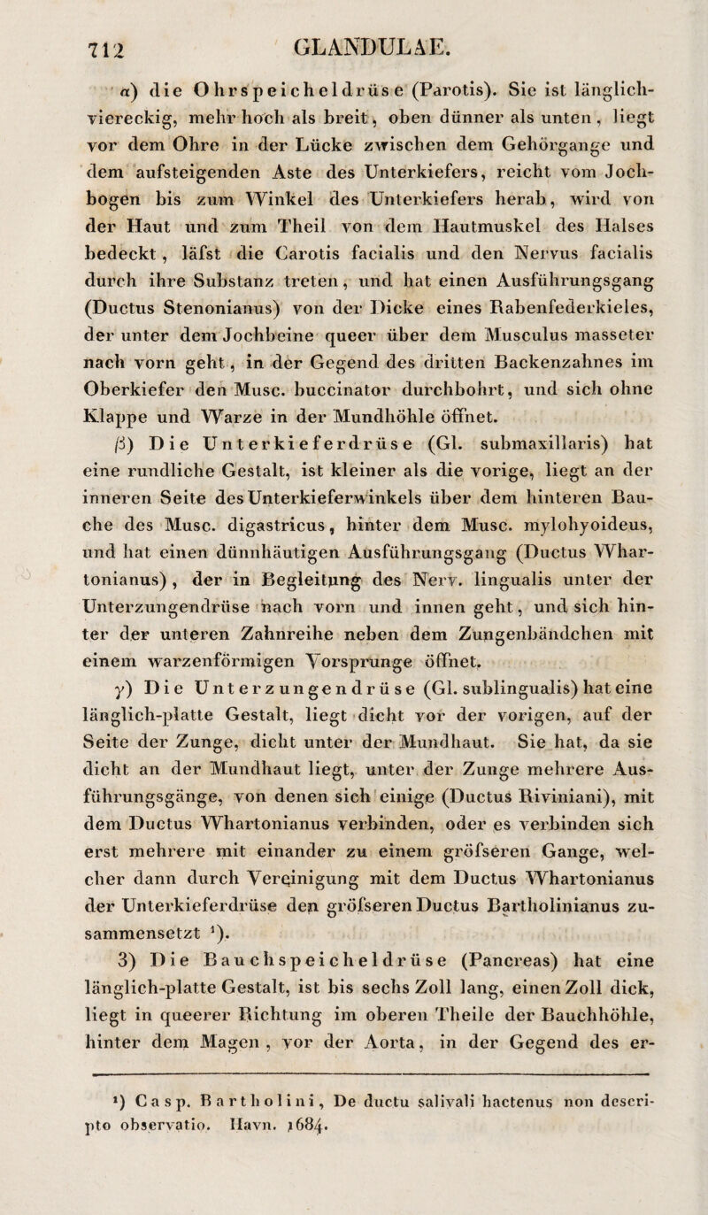 «) die Ohrspeicheldrüse (Parotis). Sie ist länglich¬ viereckig, mehr hoch als breit, oben dünner als unten , liegt yor dem Ohre in der Lücke zwischen dem Gehörgange und dem aufsteigenden Aste des Unterkiefers, reicht vom Joch¬ bogen bis zum Winkel des Unterkiefers herab, wird von der Haut und zum Theil von dem Hautmuskel des Halses bedeckt , läfst die Carotis facialis und den Nervus facialis durch ihre Substanz treten, und hat einen Ausführungsgang (Ductus Stenonianus) von der Dicke eines Rabenfederkieles, der unter dem Jochbeine queer über dem Musculus masseter nach vorn geht, in der Gegend des dritten Backenzahnes im Oberkiefer den Muse, buccinator durchbohrt, und sich ohne Klappe und Warze in der Mundhöhle öffnet. ß) Die Unterkieferdrüse (Gl. submaxillaris) hat eine rundliche Gestalt, ist kleiner als die vorige, liegt an der inneren Seite des Unterkieferwinkels über dem hinteren Bau¬ che des Muse, digastricus, hinter dem Muse, mylohyoideus, und hat einen dünnhäutigen Ausführungsgang (Ductus Whar- tonianus) , der in Begleitung des Nerv, lingualis unter der Unterzungendrüse nach vorn und innen geht, und sich hin¬ ter der unteren Zahnreihe neben dem Zungenbändchen mit einem warzenförmigen Vorsprunge öffnet. y) Die Unterzungendrüse (Gl. sublingualis) hat eine länglich-platte Gestalt, liegt dicht yor der vorigen, auf der Seite der Zunge, dicht unter der Mundhaut. Sie hat, da sie dicht an der Mundhaut liegt, unter der Zunge mehrere Aus¬ führungsgänge, von denen sich einige (Ductus Riviniani), mit dem Ductus Whartonianus verbinden, oder es verbinden sich erst mehrere mit einander zu einem gröfseren Gange, wel¬ cher dann durch Vereinigung mit dem Ductus Whartonianus der Unterkieferdrüse dep gröfseren Ductus Bartholinianus zu¬ sammensetzt 1). 3) Die Bauchspeicheldrüse (Pancreas) hat eine länglich-platte Gestalt, ist bis sechs Zoll lang, einen Zoll dick, liegt in queerer Richtung im oberen Theile der Bauchhöhle, hinter dem Magen , yor der Aorta, in der Gegend des er- *) C a s p. Bartholini, De ductu saliyali hactenus non descri- pto observatio. llavn. J684.
