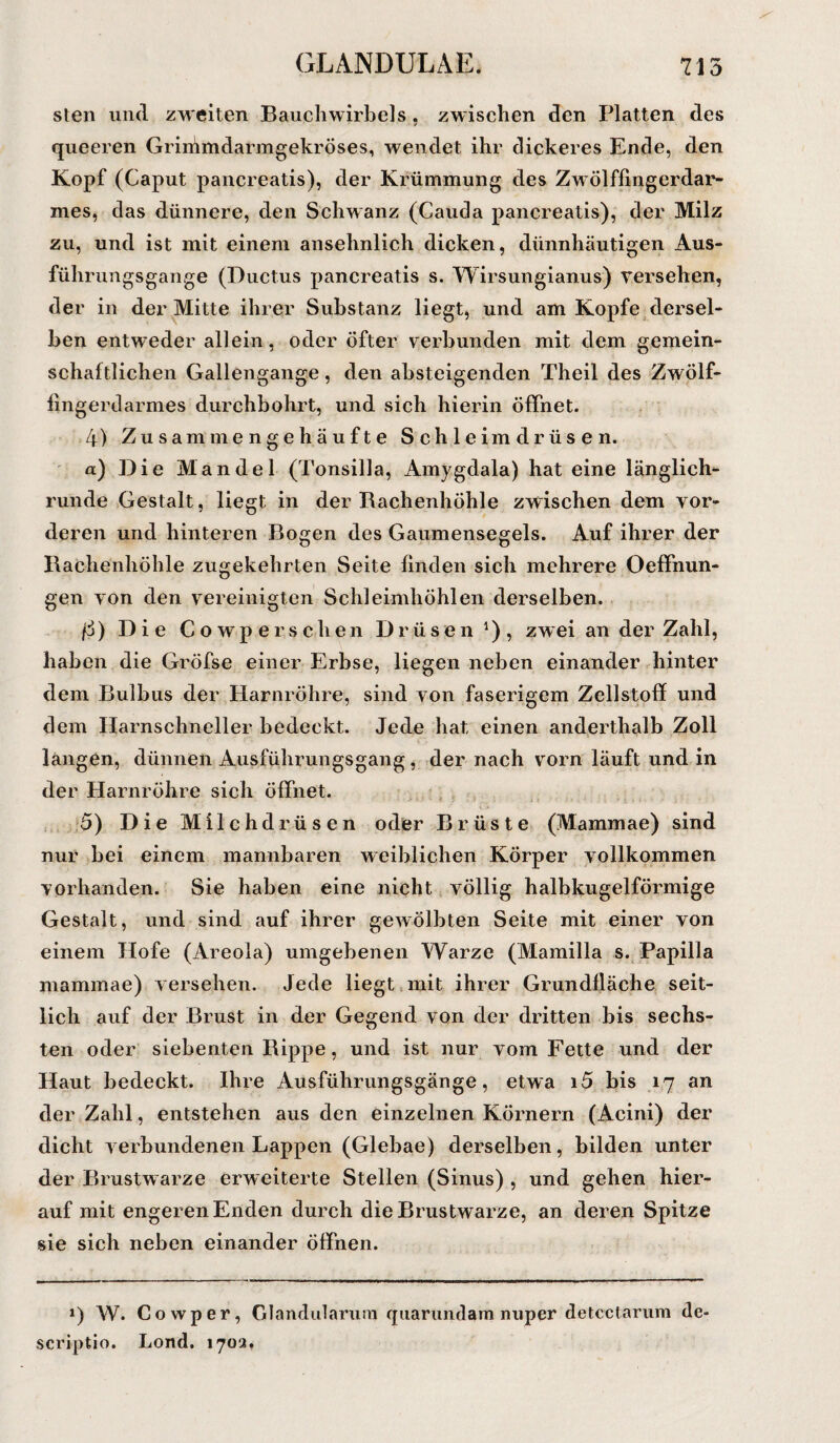 sten und zweiten Bauchwirbels , zwischen den Platten des queeren Griihmdarmgekröses, wendet ihr dickeres Ende, den Kopf (Caput pancreatis), der Krümmung des Zwölffingerdar¬ mes, das dünnere, den Schwanz (Cauda pancreatis), der Milz zu, und ist mit einem ansehnlich dicken, dünnhäutigen Aus- führungsgange (Ductus pancreatis s. Wirsungianus) versehen, der in der Mitte ihrer Substanz liegt, und am Kopfe dersel¬ ben entweder allein, oder öfter verbunden mit dem gemein¬ schaftlichen Gallengange, den absteigenden Theil des Zwölf¬ fingerdarmes durchbohrt, und sich hierin öffnet. 4) Zusammengehäufte Schleimdrüsen. a) Die Mandel (Tonsilla, Amygdala) hat eine länglich¬ runde Gestalt, liegt in der Rachenhöhle zwischen dem vor¬ deren und hinteren Bogen des Gaumensegels. Auf ihrer der Rachenhöhle zugekehrten Seite finden sich mehrere Oeffnun- gen von den vereinigten Schleimhöhlen derselben. ß) Die Cowper sehen Drüsen1), zwei an der Zahl, haben die Gröfse einer Erbse, liegen neben einander hinter dem Bulbus der Harnröhre, sind von faserigem Zellstoff und dem Harnschneller bedeckt. Jede hat einen anderthalb Zoll langen, dünnen Ausführungsgang, der nach vorn läuft und in der Harnröhre sich öffnet. 5) Die Milchdrüsen oder Brüste (Mammae) sind nur bei einem mannbaren weiblichen Körper vollkommen vorhanden. Sie haben eine nicht völlig halbkugelförmige Gestalt, und sind auf ihrer gewölbten Seite mit einer von einem Hofe (Areola) umgebenen Warze (Mamilla s. Papilla mammae) versehen. Jede liegt mit ihrer Grundfläche seit¬ lich auf der Brust in der Gegend von der dritten bis sechs¬ ten oder siebenten Rippe, und ist nur vom Fette und der Haut bedeckt. Ihre Ausführungsgänge, etwa i5 bis 17 an der Zahl, entstehen aus den einzelnen Körnern (Acini) der dicht verbundenen Lappen (Glebae) derselben, bilden unter der Brustwarze erweiterte Stellen (Sinus) , und gehen hier¬ auf mit engeren Enden durch die Brustwarze, an deren Spitze sie sich neben einander öffnen. *) W. Cowper, Glandularum quarundam nuper detcctarum de- scriptio. Lond. 1702,