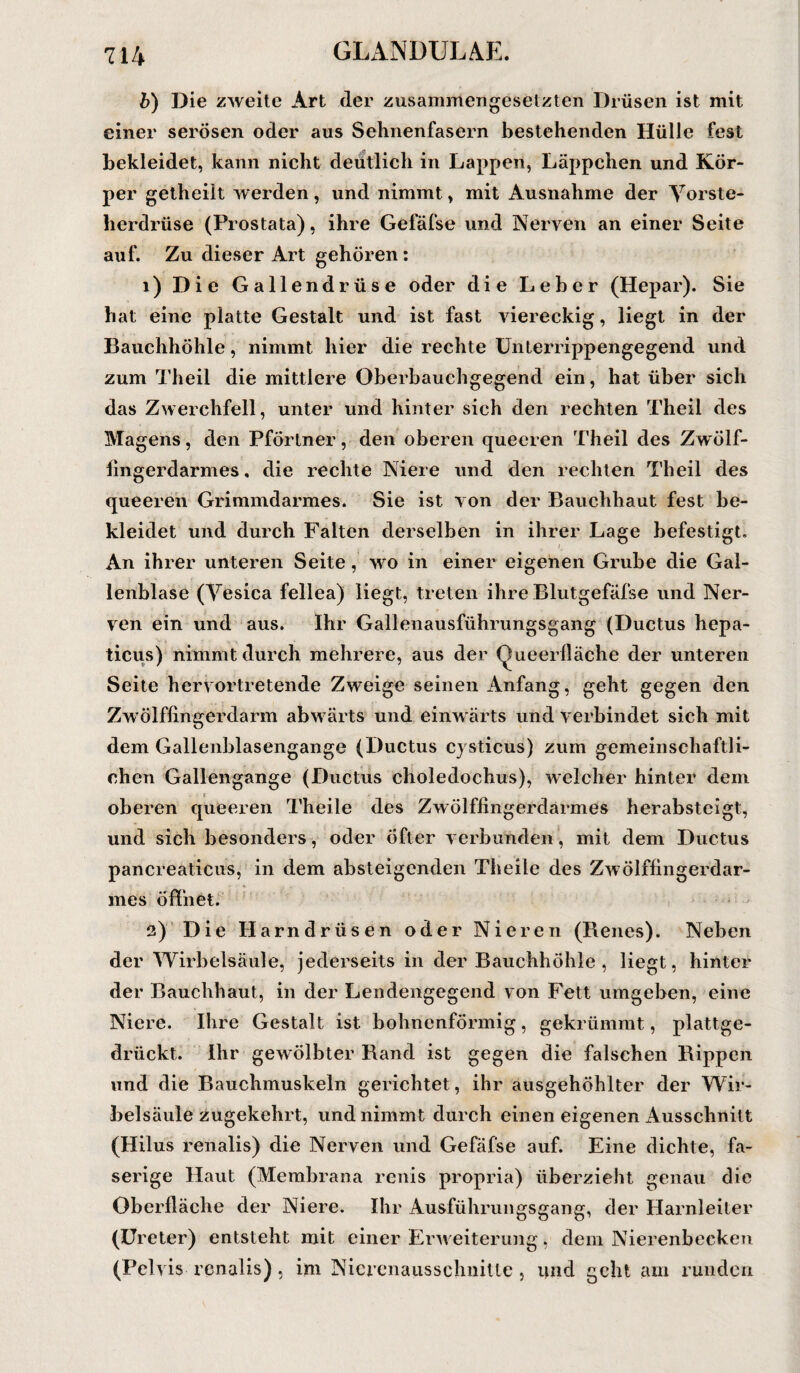 b) Die zweite Art der zusammengesetzten Drüsen ist mit einer serösen oder aus Sehnenfasern bestehenden Hülle fest bekleidet, kann nicht deutlich in Lappen, Läppchen und Kör¬ per getheilt werden, und nimmt, mit Ausnahme der Vorste¬ herdrüse (Prostata), ihre Gefäfse und Nerven an einer Seite auf. Zu dieser Art gehören : 1) Die Gallendrüse oder die Leber (Hepar). Sie hat eine platte Gestalt und ist fast viereckig, liegt in der Bauchhöhle, nimmt hier die rechte Unterrippengegend und zum Theil die mittlere Oberbauchgegend ein, hat über sich das Zwerchfell, unter und hinter sich den rechten Theil des Magens, den Pförtner, den oberen queeren Theil des Zwölf- fingerdarmes, die rechte Niere und den rechten Theil des queeren Grimmdarmes. Sie ist von der Bauchhaut fest be¬ kleidet und durch Falten derselben in ihrer Lage befestigt. An ihrer unteren Seite, wo in einer eigenen Grube die Gal¬ lenblase (Vesica fellea) liegt, treten ihre Blutgefäfse und Ner¬ ven ein und aus. Ihr Gallenausführungsgang (Ductus hepa- ticus) nimmt durch mehrere, aus der (lueerfläche der unteren Seite hervortretende Zweige seinen Anfang, geht gegen den Zwölffingerdarm abwärts und einwärts und verbindet sich mit dem Gallenblasengange (Ductus cysticus) zum gemeinschaftli¬ chen Gallengange (Ductus choledochus), welcher hinter dem oberen queeren Theile des Zwölffingerdarmes herabsteigt, und sich besonders, oder öfter verbunden, mit dem Ductus pancreaticus, in dem absteigenden Theile des Zwölffingerdar¬ mes öffnet. 2) Die Harndrüsen oder Nieren (Benes). Neben der Wirbelsäule, jederseits in der Bauchhöhle , liegt, hinter der Bauchhaut, in der Lendengegend von Fett umgeben, eine Niere. Ihre Gestalt ist bohnenförmig, gekrümmt, plattge¬ drückt. Ihr gewölbter Rand ist gegen die falschen Rippen und die Bauchmuskeln gerichtet, ihr ausgehöhlter der Wir¬ belsäule zugekehrt, und nimmt durch einen eigenen Ausschnitt (Hilus renalis) die Nerven und Gefäfse auf. Eine dichte, fa¬ serige Haut (Membrana renis propria) überzieht genau die Oberfläche der Niere. Ihr Ausführungsgang, der Harnleiter (Ureter) entsteht mit einer Erweiterung, dem Nierenbecken (Pelvis renalis), im Nicrenausschnitte , und geht am runden