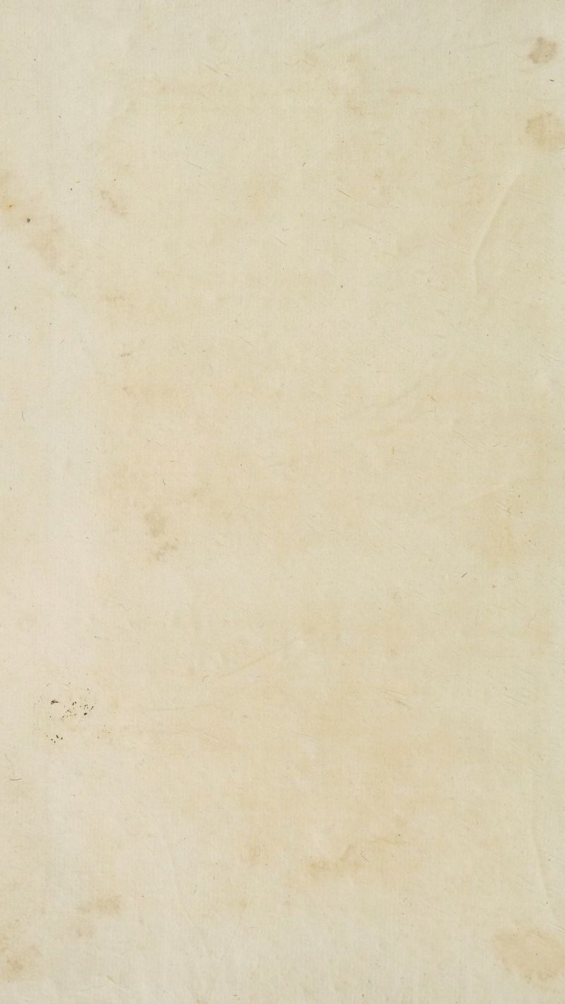 ■ l'* f I \ / .*/■ i l \ ' > I