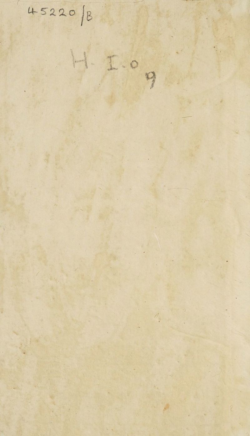 ) i- < i >V ^ t • f- '*• • '■.V