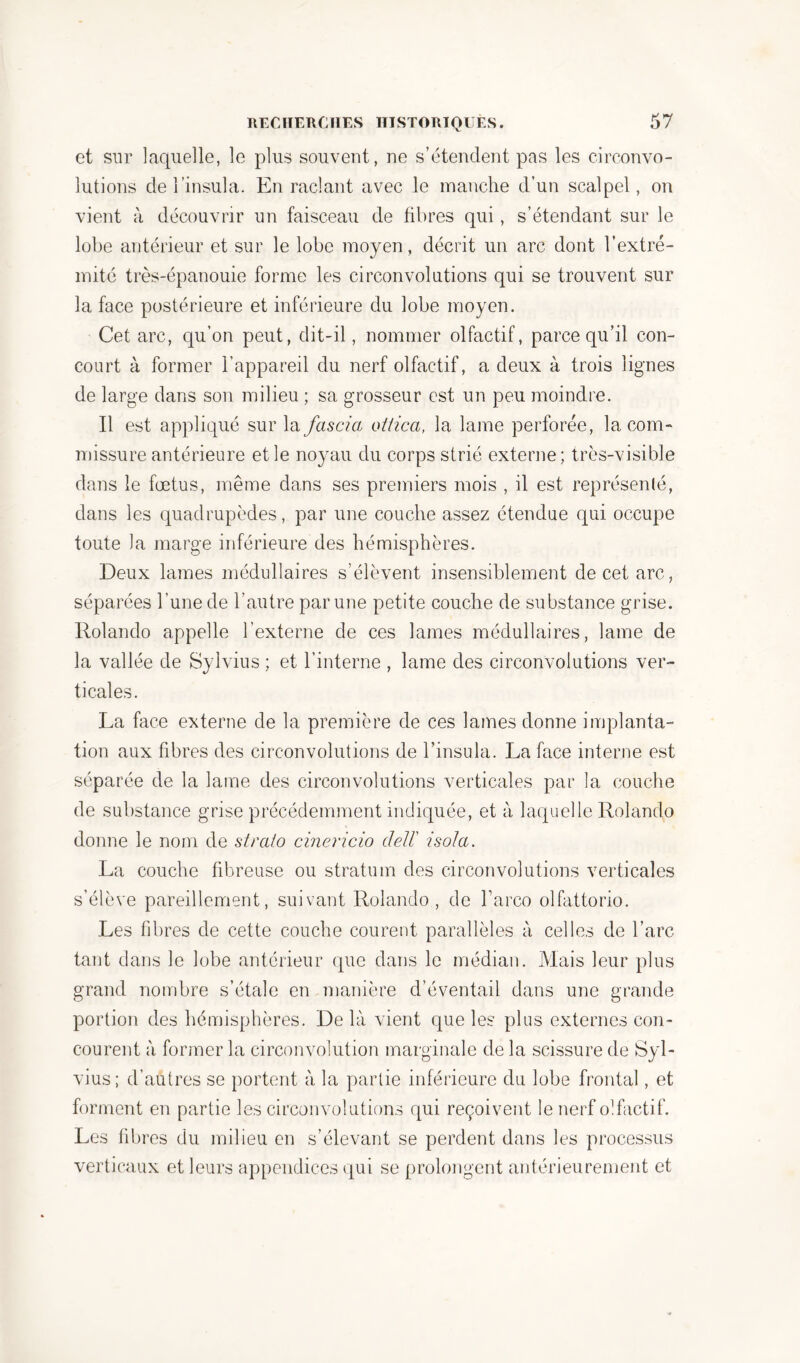 et sur laquelle, le plus souvent, ne s’étendent pas les circonvo- lutions de l’insula. En raclant avec le manche d’un scalpel, on vient à découvrir un faisceau de fibres qui , s’étendant sur le lobe antérieur et sur le lobe moyen, décrit un arc dont l’extré- mité très-épanouie forme les circonvolutions qui se trouvent sur la face postérieure et inférieure du lobe moyen. Cet arc, qu’on peut, dit-il, nommer olfactif, parce qu’il con- court à former l’appareil du nerf olfactif, a deux à trois lignes de large dans son milieu ; sa grosseur est un peu moindre. Il est appliqué sur la fascia otiica, la lame perforée, la com- missure antérieure et le noyau du corps strié externe; très-visible dans le fœtus, même dans ses premiers mois , il est représenté, dans les quadrupèdes, par une couche assez étendue qui occupe toute la marge inférieure des hémisphères. Deux lames médullaires s’élèvent insensiblement de cet arc, séparées l’une de l’autre par une petite couche de substance grise. Rolando appelle l’externe de ces lames médullaires, lame de la vallée de Sylvius ; et l’interne , lame des circonvolutions ver- ticales. La face externe de la première de ces lames donne implanta- tion aux fibres des circonvolutions de l’insula. La face interne est séparée de la lame des circonvolutions verticales par la couche de substance grise précédemment indiquée, et à laquelle Rolando donne le nom de stralo cinericio clell' isola. La couche fibreuse ou stratum des circonvolutions verticales s’élève pareillement, suivant Rolando, de Farco olfattorio. Les fibres de cette couche courent parallèles à celles de l’arc tant dans le lobe antérieur que dans le médian. Mais leur plus grand nombre s’étale en manière d’éventail dans une grande portion des hémisphères. Delà vient que les plus externes con- courent à former la circonvolution marginale de la scissure de Syl- vius; d'autres se portent à la partie inférieure du lobe frontal, et forment en partie les circonvolutions qui reçoivent le nerf olfactif. Les fibres du milieu en s’élevant se perdent dans les processus verticaux et leurs appendices qui se prolongent antérieurement et