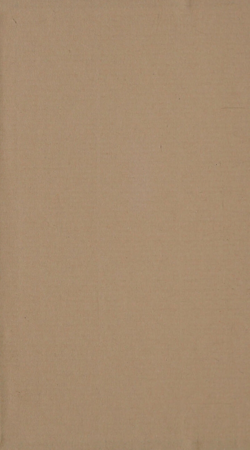 ‘ a oe At 