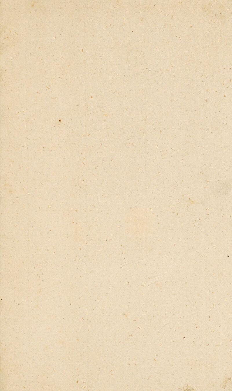 * / \' \ r ( '\l } / - 1 t V - ' 'V.