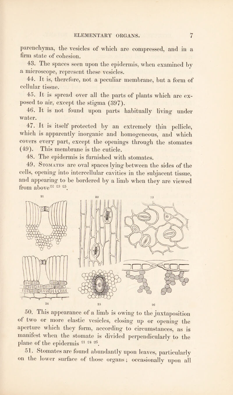 parenchyma, the vesicles of which are compressed, and in a firm state of cohesion. 43. The spaces seen upon the epidermis, when examined by a microscope, represent these vesicles. 44. It is, therefore, not a peculiar membrane, but a form of cellular tissue. 45. It is spread over all the parts of plants which are ex¬ posed to air, except the stigma (397). 46. It is not found upon parts habitually living under water. 47. It is itself protected by an extremely thin pellicle, which is apparently inorganic and homogeneous, and which covers every part, except the openings through the stomates (49). This membrane is the cuticle. 48. The epidermis is furnished with stomates. 49. Stomates are oval spaces lying between the sides of the cells, opening into intercellular cavities in the subjacent tissue, and appearing to be bordered by a limb when they are viewed from above22 23 25. 25 26 50. This appearance of a limb is owing to the juxtaposition of two or more elastic vesicles, closing up or opening the aperture which they form, according to circumstances, as is manifest when the stomate is divided perpendicularly to the plane of the epidermis 21 24 26. 51. Stomates are found abundantly upon leaves, particularly on the lower surface of those organs; occasionally upon all