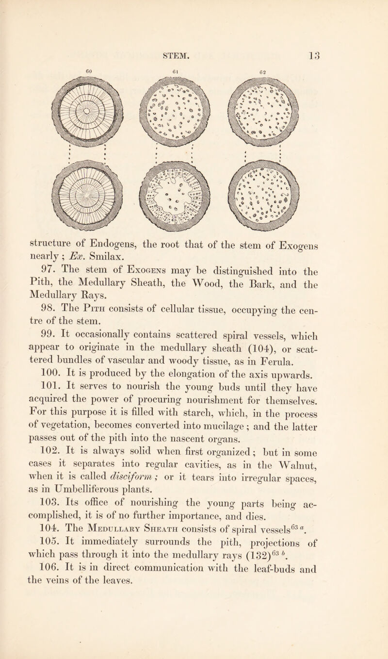 60 61 62 structure of Endogens, tlie root that of the stem of Exogens nearly; Ex. Smilax. 97. The stem of Exogens may be distinguished into the Pith, the Medullary Sheath, the Wood, the Bark, and the Medullary Bays. 98. The Pith consists of cellular tissue, occupying the cen¬ tre of the stem. 99. It occasionally contains scattered spiral vessels, which appear to originate in the medullary sheath (104), or scat¬ tered bundles of vascular and woody tissue, as in Ferula. 100. It is produced by the elongation of the axis upwards. 101. It serves to nourish the young buds until they have acquired the power of procuring nourishment for themselves. For this purpose it is filled with starch, which, in the process of vegetation, becomes converted into mucilage ; and the latter passes out of the pith into the nascent organs. 102. It is always solid when first organized; but in some cases it separates into regular cavities, as in the Walnut, when it is called disciform; or it tears into irregular spaces, as in Umbelliferous plants. 103. Its office of nourishing the young parts being ac¬ complished, it is of no further importance, and dies. 104. The Medullary Sheath consists of spiral vessels63®. 105. It immediately surrounds the pith, projections of which pass through it into the medullary rays (132)63 b. 106. It is in direct communication with the leaf-buds and the veins of the leaves.