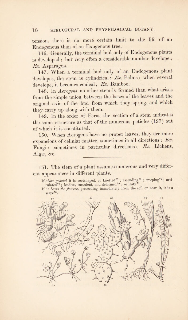 tension, there is no more certain limit to the life of an Endogenous than of an Exogenous tree. 146. Generally, the terminal bud only of Endogenous plants is developed ; hut very often a considerable number develope ; Ex. Asparagus. 147. When a terminal bud only of an Endogenous plant developes, the stem is cylindrical; Ex. Palms: when several develope, it becomes conical; Ex. Bamboo. 148. In Acrogens no other stem is formed than what arises from the simple union between the bases of the leaves and the original axis of the bud from which they spring, and which they carry up along with them. 149. In the order of Ferns the section of a stem indicates the same structure as that of the numerous petioles (197) out of which it is constituted. 150. When Acrogens have no proper leaves, they are mere expansions of cellular matter, sometimes in all directions; Ex. Fungi: sometimes in particular directions ; Ex. Lichens, Algae, &c. 151. The stem of a plant assumes numerous and very differ¬ ent appearances in different plants. If above ground it is rootshaped, or knotted67 ; ascending68 ; creeping72 ; arti¬ culated73 ; leafless, succulent, and deformed69 ; or leafy71.. If it bears the flowers, proceeding immediately from the soil or near it, it is a scape70. 67 68 69 70 71 72