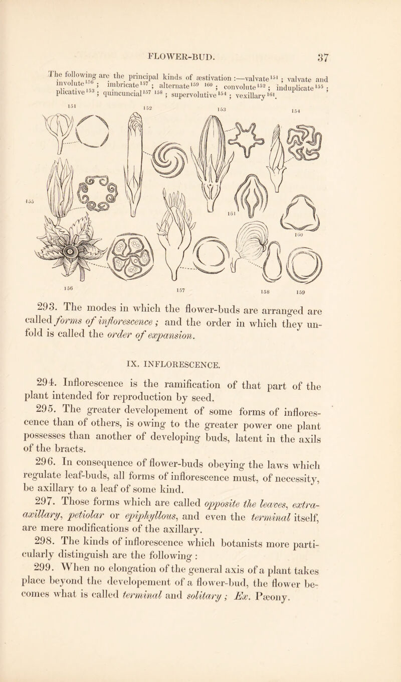 a 1 c toHowing are the principal kinds of aestivation :—valvate151 ; valvate and involute ; imbricate57; alternate159 160 ; convolute152; induplicate155; plicative153 ; qumcuncial157 153 ; supervolutive155 ; vexillary151. 151 155 156 152 153 157 154 158 159 293. The modes in which the flower-buds are arranged are called forms of inflorescence; and the order in which they un¬ fold is called the order of expansion. IX. INFLORESCENCE. 294. Inflorescence is the ramification of that part of the plant intended for reproduction by seed. 295. The greater developement of some forms of inflores¬ cence than of others, is owing to the greater power one plant possesses than another of developing buds, latent in the axils of the bracts. 296. In consequence of flower-buds obeying the laws which regulate leaf-buds, all forms of inflorescence must, of necessity, be axillary to a leaf of some kind. 297. Those forms which are called opposite tJte leaves, extra- axillary, petiolar or epiphyllous, and even the terminal itself, are mere modifications of the axillary. 298. The kinds of inflorescence which botanists more parti¬ cularly distinguish are the following : 299. When no elongation of the general axis of a plant takes place beyond the developement of a flower-bud, the flower be¬ comes what is called terminal and solitary; Ex. Pyeony,