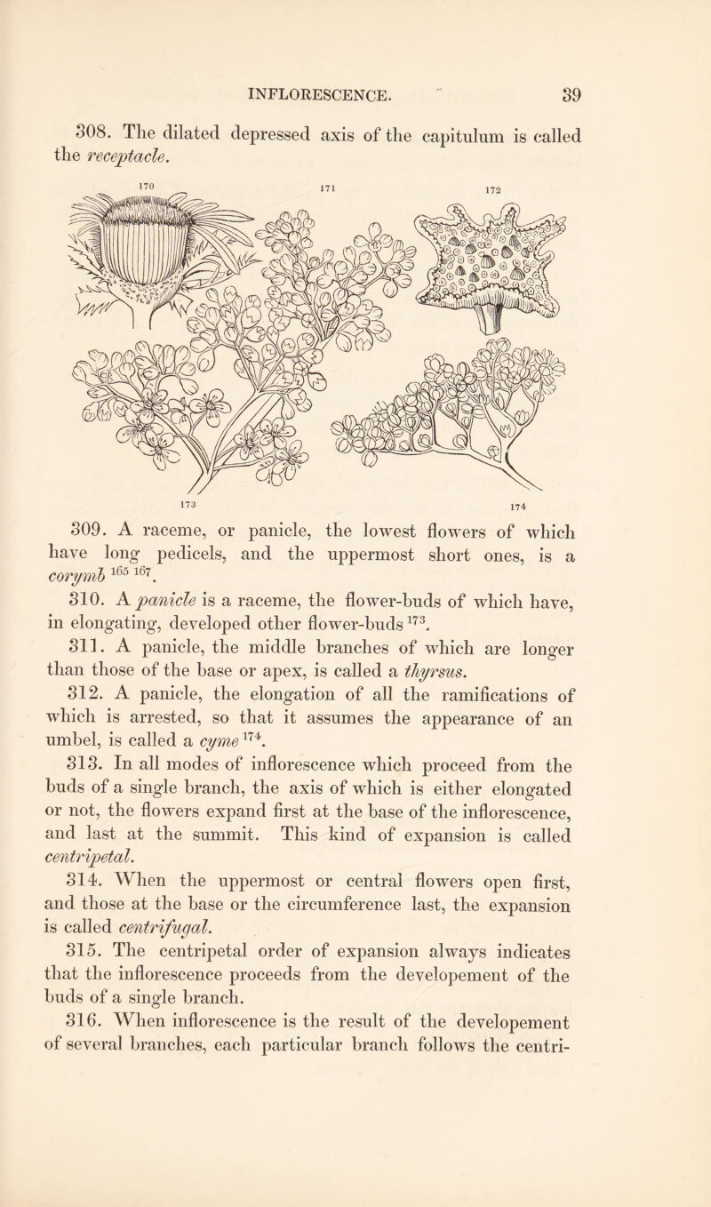 308. The dilated depressed axis of the capitulum is called the receptacle. 309. A raceme, or panicle, the lowest flowers of which have long pedicels, and the uppermost short ones, is a corymb 165 l67. 310. A panicle is a raceme, the flower-buds of which have, in elongating, developed other flower-buds173. 311. A panicle, the middle branches of which are longer than those of the base or apex, is called a thyrsus. 312. A panicle, the elongation of all the ramifications of which is arrested, so that it assumes the appearance of an umbel, is called a cyme174. 313. In all modes of inflorescence which proceed from the buds of a single branch, the axis of which is either elongated or not, the flow'ers expand first at the base of the inflorescence, and last at the summit. This kind of expansion is called centripetal. 314. When the uppermost or central flowers open first, and those at the base or the circumference last, the expansion is called centrifugal. 315. The centripetal order of expansion always indicates that the inflorescence proceeds from the developement of the buds of a single branch. 316. When inflorescence is the result of the developement of several branches, each particular branch follows the centri-