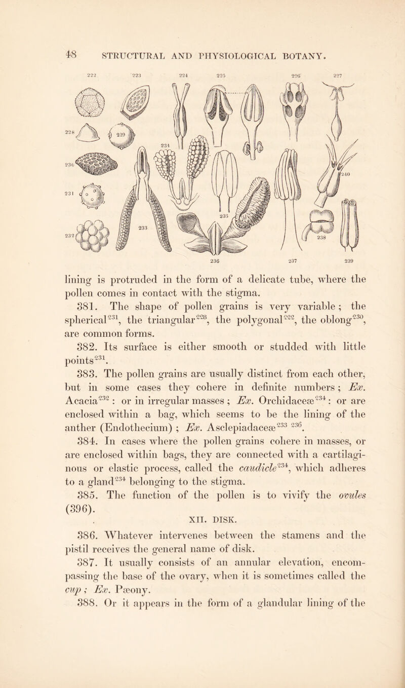 222 223 224 225 256 227 lining is protruded in the form of a delicate tube, where the pollen comes in contact with the stigma. 881. The shape of pollen grains is very variable ; the spherical231, the triangular228, the polygonal222, the oblong230, are common forms. 882. Its surface is either smooth or studded with little points231. 883. The pollen grains are usually distinct from each other, but in some cases they cohere in definite numbers; Ex. Acacia232 : or in irregular masses ; Ex. Orchidacese234 : or are enclosed within a bag, which seems to he the lining of the anther (Endotheeium) ; Ex. Asclepiadacese233 236. 384. In cases where the pollen grains cohere in masses, or are enclosed within bags, they are connected with a cartilagi¬ nous or elastic process, called the caudicle234', which adheres to a gland234 belonging to the stigma. 885. The function of the pollen is to vivify the ovules (396). XII. DISK. 886. Whatever intervenes between the stamens and the pistil receives the general name of disk. 887. It usually consists of an annular elevation, encom¬ passing the base of the ovary, when it is sometimes called the cup ; Ex. Pseony. 388. Or it appears in the form of a glandular lining of the