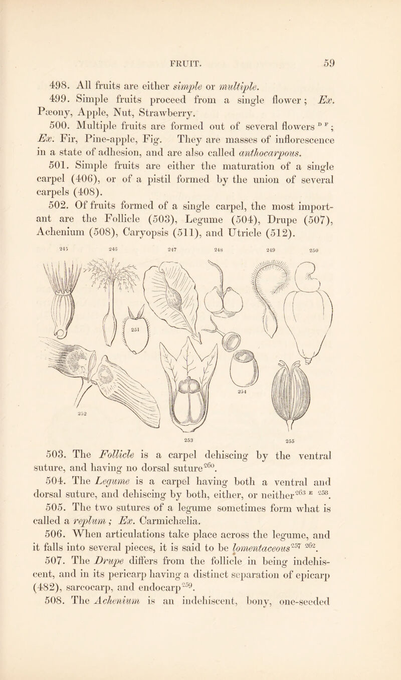 498. All fruits are either simple or multiple. 499. Simple fruits proceed from a single flower; Ex. Pseony, Apple, Nut, Strawberry. 500. Multiple fruits are formed out of several flowers D F; Ex. Fir, Pine-apple, Fig. They are masses of inflorescence in a state of adhesion, and are also called anthocarpous. 501. Simple fruits are either the maturation of a single carpel (406), or of a pistil formed by the union of several carpels (408). 502. Of fruits formed of a single carpel, the most import¬ ant are the Follicle (503), Legume (504), Drupe (507), Achenium (508), Caryopsis (511), and Utricle (512). 2-15 245 247 248 249 250 503. The Follicle is a carpel dehiscing by the ventral suture, and having no dorsal suture260. 504. The Legume is a carpel having both a ventral and dorsal suture, and dehiscing by both, either, or neither263 E 258. 505. The two sutures of a legume sometimes form what is called a replum ; Ex. Carmichselia. 506. When articulations take place across the legume, and it falls into several pieces, it is said to be lomentaceous257 262. 507. The Drupe differs from the follicle in being indehis- cent, and in its pericarp having a distinct separation of epicarp (482), sarcocarp, and endocarp259. 508. The Aclienium is an indehiscent, bony, one-seeded