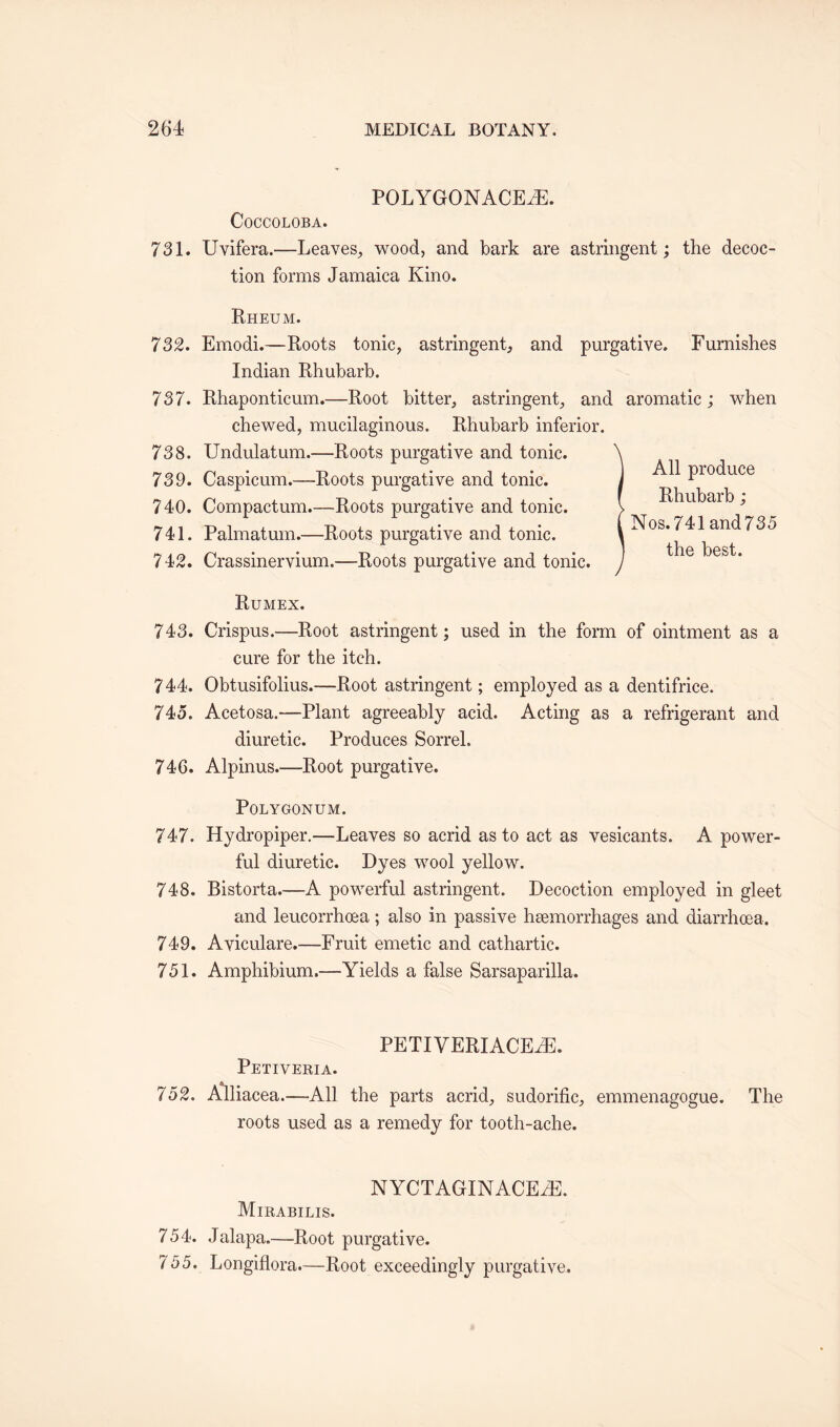 POLYGONACEaE. COCCOLOBA. 731. Uvifera.—Leaves, wood, and bark are astringent; the decoc¬ tion forms Jamaica Kino. Rheum. 732. Emodi.—Roots tonic, astringent, and purgative. Furnishes Indian Rhubarb. 737. Rhaponticum.—Root bitter, astringent, and aromatic ; when chewed, mucilaginous. Rhubarb inferior. 738. Undulatum.—Roots purgative and tonic. 739. Caspicum.—Roots purgative and tonic. 740. Compactum.—Roots purgative and tonic. 741. Palmatum.—Roots purgative and tonic. 742. Crassinervium.—Roots purgative and tonic. Rumex. 743. Crispus.—Root astringent; used in the form of ointment as a cure for the itch. 744. Obtusifolius.—Root astringent; employed as a dentifrice. 745. Acetosa.—Plant agreeably acid. Acting as a refrigerant and diuretic. Produces Sorrel. 746. Alpinus.—Root purgative. Polygonum. 747. Hydropiper.—Leaves so acrid as to act as vesicants. A power¬ ful diuretic. Dyes wool yellow. 748. Bistorta.—-A powerful astringent. Decoction employed in gleet and leucorrhoea; also in passive hsemorrhages and diarrhoea. 749. Aviculare.—Fruit emetic and cathartic. 751. Amphibium.—Yields a false Sarsaparilla. All produce Rhubarb; Nos.741 and735 the best. PETIVERIACE2E. Petiveria. 752. Alliacea.—All the parts acrid, sudorific, emmenagogue. The roots used as a remedy for tooth-ache. NYCTAGINACEaE. Mirabilis. 754. Jalapa.—Root purgative. 755. Longiflora.—Root exceedingly purgative.