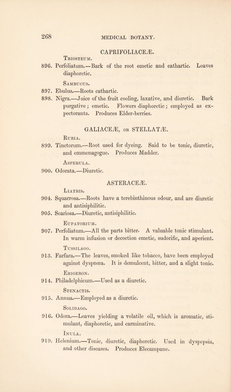 CAPRIFOLIACEiE. Triosteum. 896. Perfoliatum.—-Bark of the root emetic and cathartic. Leaves diaphoretic. Sambucus. 897. Ebulus.—Roots cathartic. 898. Nigra.—Juice of the fruit cooling, laxative, and diuretic. Bark purgative; emetic. Flowers diaphoretic ; employed as ex¬ pectorants. Produces Elder-berries. GALIACEJE, or STELLATE. Rubia. 899. Tinctorum.—Root used for dyeing. Said to be tonic, diuretic, and emmenagogue. Produces Madder. Asperula. 900. Odorata.—Diuretic. ASTERACEJE. Liatris. 904. Squarrosa.—Roots have a terebinthinous odour, and are diuretic and antisiphilitic. 905. Scariosa.—Diuretic, antisiphilitic. Eupatorium. 907. Perfoliatum.—All the parts bitter. A valuable tonic stimulant. In warm infusion or decoction emetic, sudorific, and aperient. Tussilago. 913. Farfara.—-The leaves, smoked like tobacco, have been employed against dyspnoea. It is demulcent, bitter, and a slight tonic. Erigeron. 914. Philadelphicum.-—-Used as a diuretic. Stenactis. 915. Annua.—Employed as a diuretic. SOLIDAGO. 916. Odora.—Leaves yielding a volatile oil, which is aromatic, sti¬ mulant, diaphoretic, and carminative. Inula. 919. Ilelenium.—Tonic, diuretic, diaphoretic. Used in dyspepsia, and other diseases. Produces Elecampane.