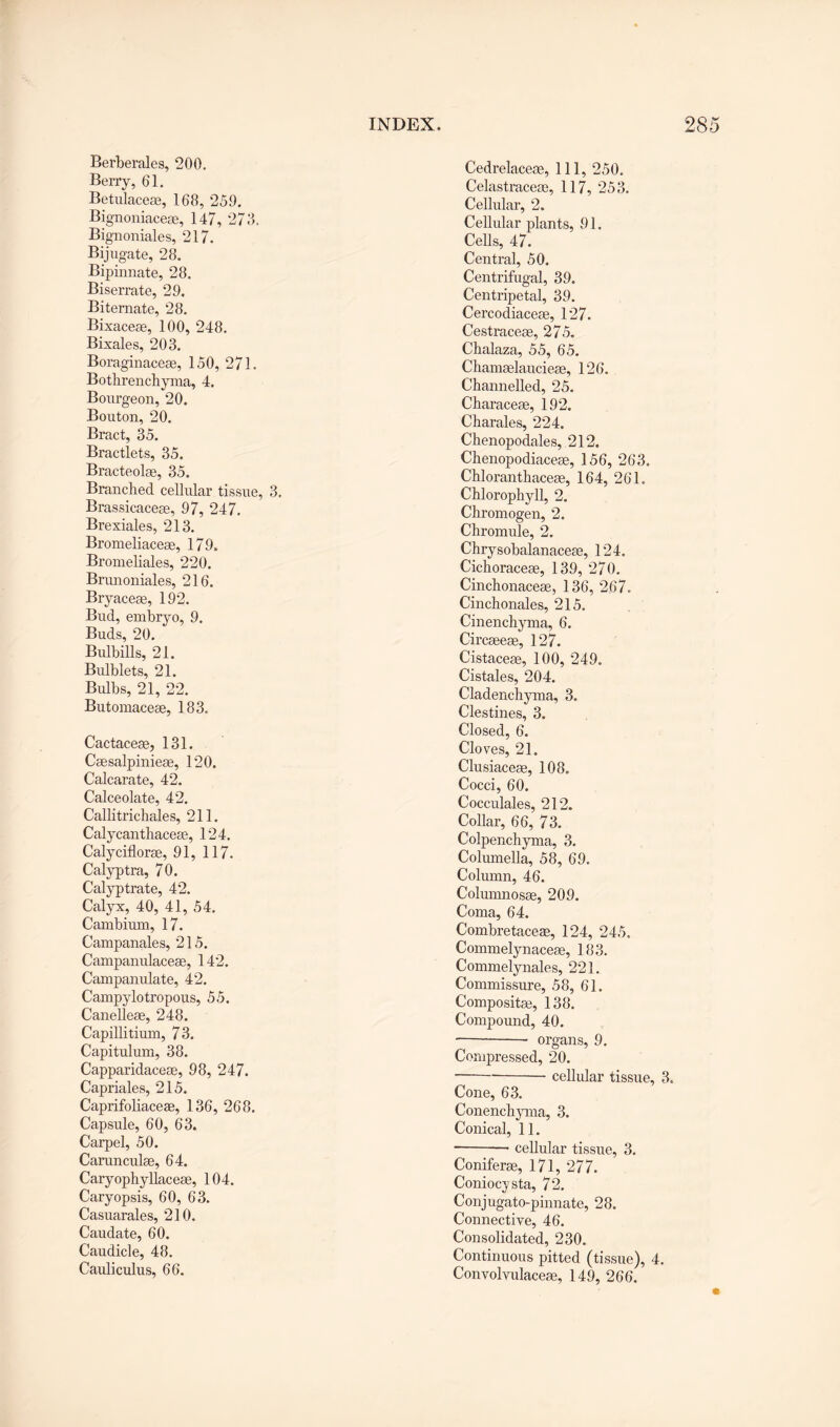 Berberales, 200. Berry, 61. Betulacese, 168, 259. Bignoniacese, 147, 278, Bignoniales, 217. Bijugate, 28. Bipinnate, 28. Biserrate, 29. Biternate, 28. Bixaceae, 100, 248. Bixales, 208. Boraginaceae, 150, 271. Bothrenchyma, 4. Bourgeon, 20. Bouton, 20. Bract, 35. Bractlets, 35. Bracteolae, 35. Branched cellular tissue, 3. Brassicacese, 97, 247. Brexiales, 213. Bromeliacese, 179. Bromeliales, 220. Brunoniales, 216. Bryaceae, 192. Bud, embryo, 9. Buds, 20. Bulbills, 21. Bulblets, 21. Bulbs, 21, 22. Butomaceae, 183. Cactacese, 131. Caesalpinieae, 120. Calcarate, 42. Calceolate, 42. Callitrichales, 211. Calycanthaceae, 124. Calyciflorae, 91, 117. Calyptra, 70. Calyptrate, 42. Calyx, 40, 41, 54. Cambium, 17. Campanales, 215. Campanulaceae, 142. Campanulate, 42. Campylotropous, 55. Canelleae, 248. Capillitium, 73. Capitulum, 38. Capparidaceae, 98, 247. Capriales, 215. Caprifoliaceae, 136, 268. Capsule, 60, 63. Carpel, 50. Carunculae, 64. Caryophyllaceae, 104. Caryopsis, 60, 63. Casuarales, 210. Caudate, 60. Caudicle, 48. Cauliculus, 66. Cedrelaceae, 111, 250. Celastraceae, 117, 253. Cellular, 2. Cellular plants, 91. Cells, 47. Central, 50. Centrifugal, 39. Centripetal, 39. Cercodiaceae, 127. Cestraceae, 275. Chalaza, 55, 65. Chamaelaucieae, 126. Channelled, 25. Characeae, 192. Charales, 224. Chenopodales, 212, Chenopodiaceae, 156, 263. Chloranthaceae, 164, 261. Chlorophyll, 2. Chromogen, 2. Chromule, 2. Chrysobalanaceae, 124. Cichoraceae, 139, 270. Cinchonaceae, 136, 267. Cinchonales, 215. Cinenchyma, 6. Circaeeae, 127. Cistaceas, 100, 249. Cistales, 204. Cladenchyma, 3. destines, 3. Closed, 6. Cloves, 21. Clusiaceae, 108. Cocci, 60. Cocculales, 212. Collar, 66, 73. Colpenchyma, 3. Columella, 58, 69. Column, 46. Columnosae, 209. Coma, 64. Combretaceas, 124, 245. Commelynaceae, 183. Commelynales, 221. Commissure, 58, 61. Compositae, 138. Compound, 40. —-- organs, 9. Compressed, 20. ---cellular tissue, 3. Cone, 63. Conenchyma, 3. Conical, 11. --• cellular tissue, 3. Coniferae, 171, 277. Coniocysta, 72, Conjugato-pinnate, 28. Connective, 46. Consolidated, 230. Continuous pitted (tissue), 4. Convolvulaceae, 149, 266.