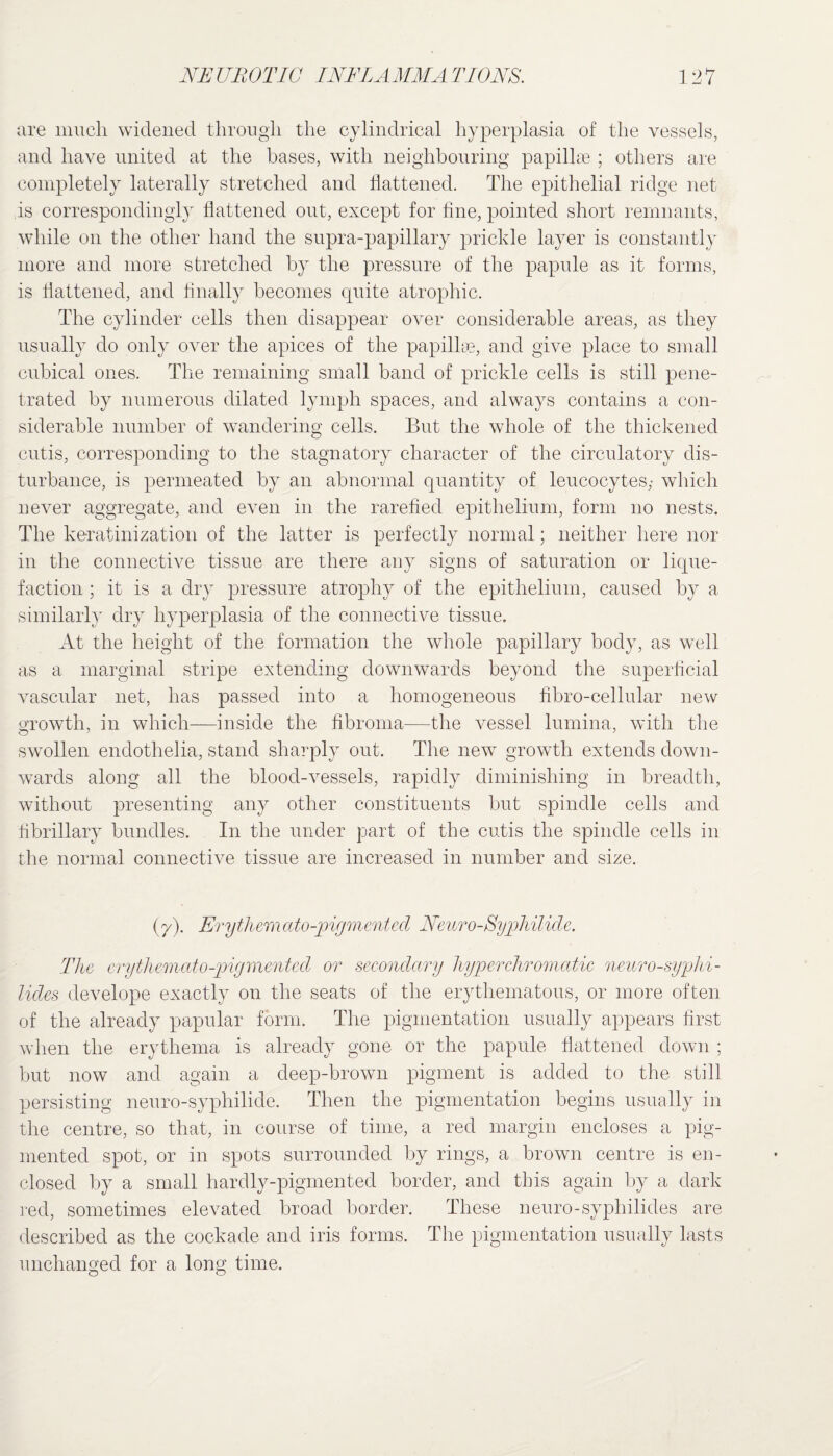 are much widened through the cylindrical hyperplasia of the vessels, and have united at the bases, with neighbouring papillae ; others are completely laterally stretched and flattened. The epithelial ridge net is correspondingly flattened out, except for fine, pointed short remnants, while on the other hand the supra-papillary prickle layer is constantly more and more stretched by the pressure of the papule as it forms, is flattened, and finally becomes quite atrophic. The cylinder cells then disappear over considerable areas, as they usually do only over the apices of the papillae, and give place to small cubical ones. The remaining small band of prickle cells is still pene¬ trated by numerous dilated lymph spaces, and always contains a con¬ siderable number of wandering cells. But the whole of the thickened cutis, corresponding to the stagnatory character of the circulatory dis¬ turbance, is permeated by an abnormal quantity of leucocytes,- which never aggregate, and even in the rarefied epithelium, form no nests. The keratinization of the latter is perfectly normal; neither here nor in the connective tissue are there any signs of saturation or lique¬ faction ; it is a dry pressure atrophy of the epithelium, caused by a similarly dry hyperplasia of the connective tissue. At the height of the formation the whole papillary body, as well as a marginal stripe extending downwards beyond the superficial vascular net, has passed into a homogeneous fibro-cellular new growth, in which—inside the fibroma—the vessel lumina, with the swollen endothelia, stand sharply out. The new growth extends down¬ wards along all the blood-vessels, rapidly diminishing in breadth, without presenting any other constituents but spindle cells and fibrillary bundles. In the under part of the cutis the spindle cells in the normal connective tissue are increased in number and size. (7). Erythem cdo-pigmenteel Neuro-Syphilide. The crythemato-pig merited or secondary hyp er chromatic neuro-syphi- lides develope exactly on the seats of the erythematous, or more often of the already papular form. The pigmentation usually appears first when the erythema is already gone or the papule flattened down ; but now and again a deep-brown pigment is added to the still persisting neuro-syphilide. Then the pigmentation begins usually in the centre, so that, in course of time, a red margin encloses a pig¬ mented spot, or in spots surrounded by rings, a brown centre is en¬ closed by a small hardly-pigmented border, and this again by a dark red, sometimes elevated broad border. These neuro-syphilides are described as the cockade and iris forms. The pigmentation usually lasts unchanged for a long time.