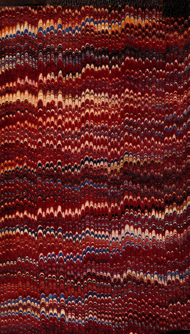 No text description is available for this image