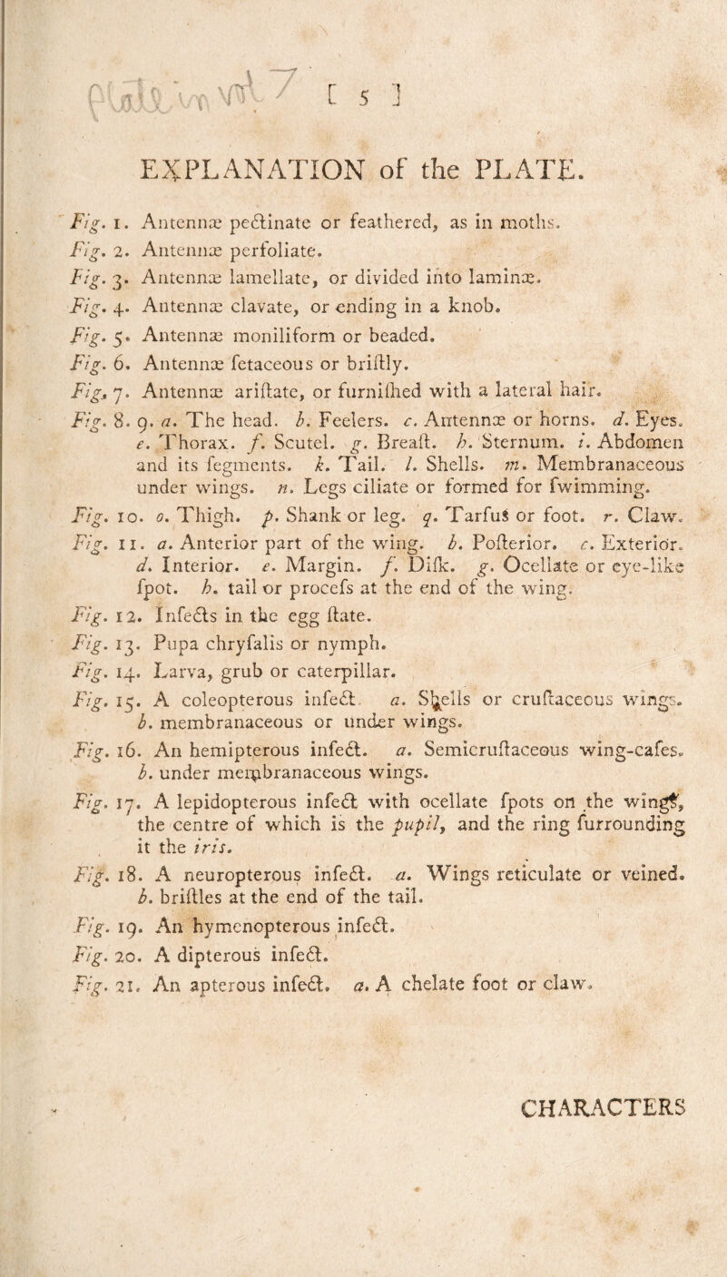 EXPLANATION of the PLATE. Fig. i. Antennae pedlinate or feathered, as in moths. Fig. 2. Antennae perfoliate. Fig. 3. Antennae lamellate, or divided into laminae. Fig. 4. Antennae clavate, or ending in a knob* Fig. 5. Antennae moniliform or beaded. Fig. 6. Antennae fetaceous or briitly. Figs 7. Antennae ariftate, or furnilhed with a lateral hair. Fig. 8. 9. a. The head. b. Feelers, c. Antennae or horns, d. Eyes, e. Thorax, f. Scutel. g. Breail. h. Sternum, /. Abdomen and its fegments. k. Tail. /. Shells. ??i. Membranaceous under wings, n, Legs ciliate or formed for fwirnming. Fig. 10. 0. Thigh, p. Shank or leg. q. TarfuS or foot. r. Claw. Fig. 11. a. Anterior part of the wing. b. Poflerior, Exterior. d. Interior, e. Margin, f. Diik. g. Ocellate or eye-like fpot. h. tail or procefs at the end of the wing. Fig. 12. Infedls in the egg hate. Fig. 13. Pupa chryfalis or nymph. Fig. 14. Larva, grub or caterpillar. Fig. 15. A coleopterous infedl, a. Shells or cruflacecus wings» b. membranaceous or under wings. Fig. 16. An hemipterous infedl. a. Semicruflaceous wing-cafes* l. under membranaceous wings. Fig. 17. A lepidopterous infedl with ocellate fpots on the wing£, the centre of which is the pupils and the ring furrounding it the iris. Fig. 18. A neuropterous infedL a. Wings reticulate or veined® b. bridles at the end of the tail. Fig. 19. An hymenopterous infedl. Fig. 20. A dipterous infedl. Fig. 21. An apterous infedl, a. A chelate foot or claw. CHARACTERS