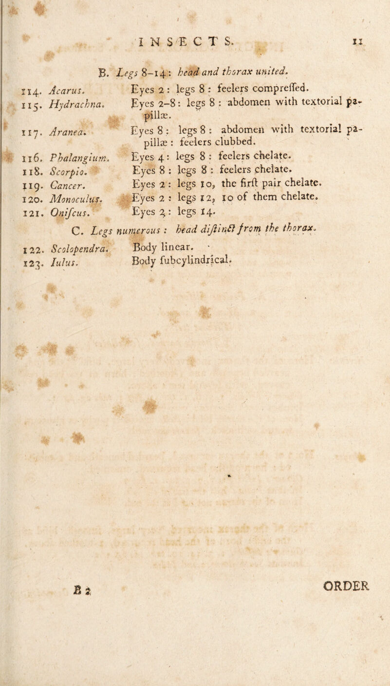 B. Legs 8-14 : head and thorax united. 1x4. Acarus. Eyes 2 : legs 8 : feelers comp re fled. lie. Hydrachna. Eyes 2-8: legs 8 : abdomen with textorial pa- ffU*- 117 .Aranea. Eyes 8 : legs 8 : abdomen with textorial pa¬ pillae : feelers clubbed. 116. Phalangium. Eyes 4: legs 8: feelers chelate. 118. Scorpio. Eyes 8 : legs 8 : feelers chelate. 119. Cancer. Eyes 2 : legs 10, the firft pair chelate. 120. Monocular. Eyes 2 : legs 12, 10 of them chelate. 121. Qnifcus. Eyes g: legs 14. C. legr numerous : head diftinttfrom the thorax. 122. Scolopendra. Body linear. 123. lulus. Body fubcylindrical. ORDER