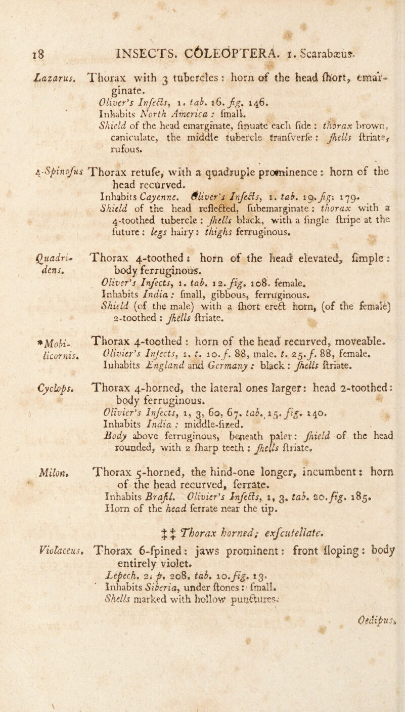 Lazarus. A.-Spin of us Quadri- dens. i *Mobi- licornis. Cyclops. Milon* Violaceus. Thorax, with 3 tubercles: horn of the head fhort, emar¬ ginate. Oliver's Infells, 1. 16. fg. 146. Inhabits North America : fmall. Shield of the head emarginate, finuate each fide : thorax brown, caniculate, the middle tubercle tranfverfe: Jhells flriate, rufous. Thorax retufe, with a quadruple protninencehorn of the head recurved. Inhabits Cayenne. Oliver's Infells, 1 .tab. ify.fig-. 179.. Shield of the head reflefled, fubemarginate: thorax with a 4-toothed tubercle : fells black, with a Tingle flripe at the future : legs hairy: thighs ferruginous. Thorax 4-toothed : horn of the head elevated, fimple : body ferruginous. Oliver's Infects, 1. tab. 12. fig. 108. female* Inhabits India : fmall, gibbous, ferruginous. Shield (of the male) with a fhort ere6l horn, (of the female) 2-toothed: Jhells flriate. Thorax 4-toothed : horn of the head recurved, moveable. Olivier's Injects, 1, t. 10./. 88, male. t. 25. f. 88, female. Inhabits England and Germany : black : fills flriate. Thorax 4-horned, the lateral ones larger: head 2-toothed: body ferruginous. Olivier's Infects, 1, 3, 60, 67. tab.45. fig* *40. Inhabits India : middle-fized. Body above ferruginous, beneath paler: field of the head rounded, with 2 fharp teeth : fells flriate. Thorax 5-horned, the hind-one longer, incumbent; horn of the head recurved, ferrate. Inhabits Brafl. Olivier's Infells, 1, 3. tab, 20. fig* 185. Horn of the head ferrate near the tip. J J Thorax horned/ exfeufellate. Thorax 6-fpined: jaws prominent: front Hoping: body entirely violet. Lepech. 21 p. 208* tab. to .fig. 13» Inhabits Siberia, under flones: fmall. Shells marked with hollow punctures.' Oedipus* £S \