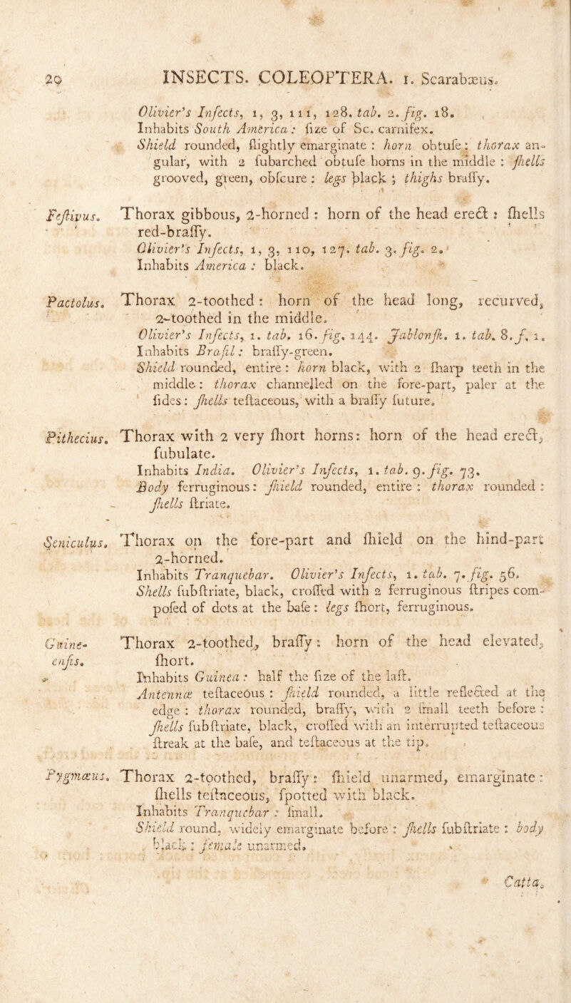 I INSECTS. COLE0PTERA. r. Scarabaeus» Olivier's Infects, 1, 3, 111, 128 .tab. 2. fig, 18. Inhabits South Americafize of Sc. carnifex. Shield rounded, {lightly emarginate : horn obtufe: thorax an¬ gular, with 2 fubarched obtufe horns in the middle : jhells grooved, green, obfcure : legs black ; thighs braffy. FeJHvus. Thorax gibbous, 1-horned : horn of the head eredt: (hells red-braffy. Olivier's Infects, 1, 3, 110, 127. tab. 3, fig. 2® Inhabits America : black. Pactolus, Thorax 2-toothed: horn of the head long, recurved, 2-toothed in the middle. Olivier's Infects, 1. tab. 16. fig. 244. ffablonjk. 1. tab. 8. f, 1. Inhabits Brafil: braffy-green. Shield rounded, entire : horn black, with 2 fharp teeth in the middle: thorax channelled on the fore-part, paler at the fides: Jhells teftaceous, with a braffy luture» Pithecius. Thorax with 2 very fhort horns: horn of the head eredfv fubulate. Inhabits India. Olivier's Infects, 1. tab. 9.fig. 73. Body ferruginous: f ield rounded, entire : thorax rounded : fells ftriate. Seniculus. Thorax on the fore-part and fhield on the hind-part 2-horned. Inhabits Tranquebar. Olivier's Infects, 1. tab. q»fig* 56» Shells fubftriate, black, eroded with 2 ferruginous ftripes com- pofed of dots at the bafe: legs fhort, ferruginous. % Quine- Thorax 2-toothed^ braffy: horn of the head elevated., enfs« fhort. Inhabits Guinea : half the fize of the la ft. Antennae teftaceous : field rounded, a little reflected at the edge : thorax rounded, braffy, with 2 imall teeth before : Jhells fubftriate, black, crofted with an interrupted teftaceous ftreak at the bafe, and teftaceous at the tip. Pygmaeus. Thorax 2-toothcd, braffy: fnield unarmed, emarginate: (hells teftaceous, fpotted with black. Inhabits Tranquebar : Imall. Shield round, widely emarginate before : ficlls fubftriate : body , -hack : female unarmed, f ' Cattaa