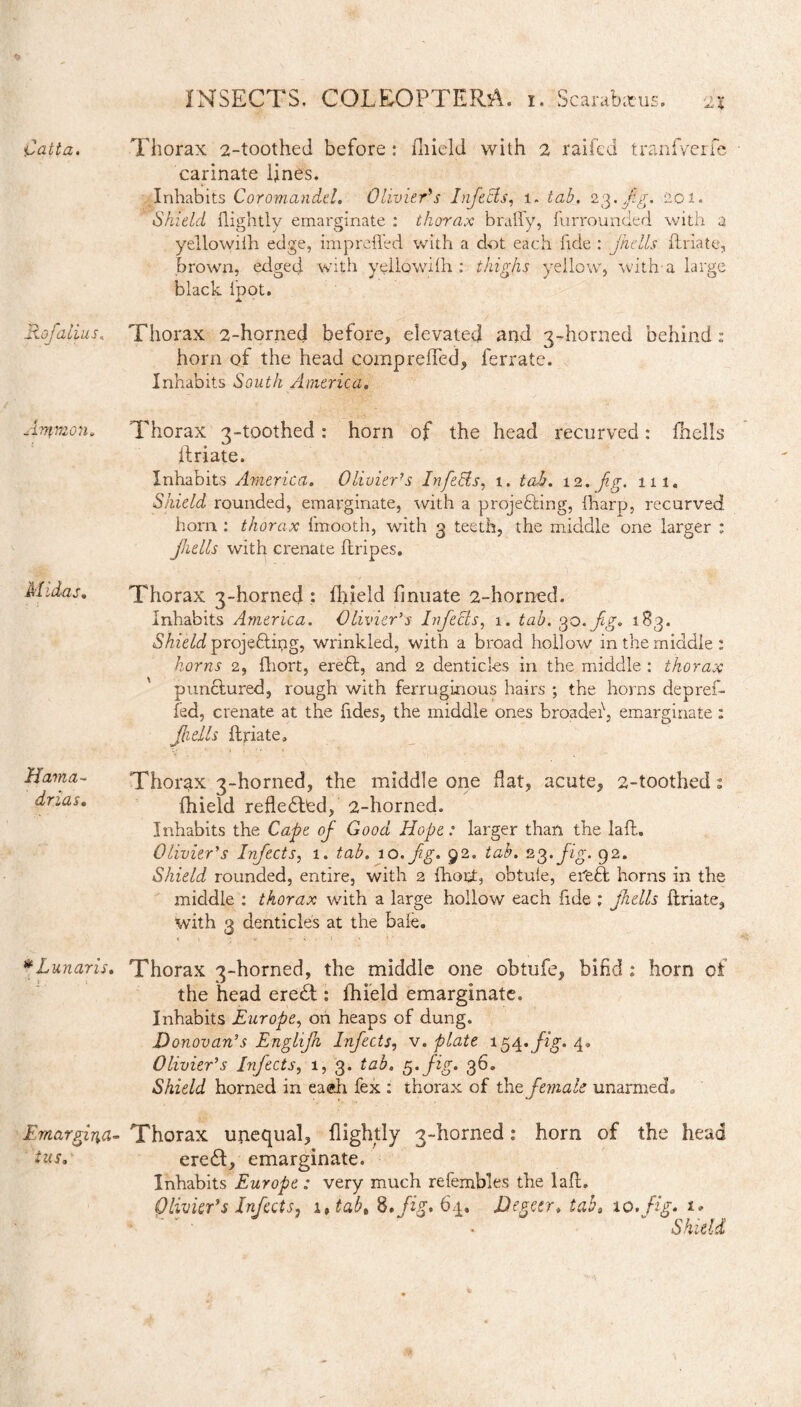 Catta. Thorax 2-toothed before: fliield with 2 raifed tranfverfe carinate lines. Inhabits Coromandel. Olivier’s Infects, 1. tab. 23. fg. 201. Shield {lightly emarginate : thorax brafly, furrounded with a yellowiih edge, impreffed with a dot each fide : jhclls ftriate, brown, edged with yellowiih : thighs yellow, with'a large black loot. A Rofalius. Thorax 2-horned before, elevated and 3-horned behind : horn of the head comp relied, ferrate. Inhabits South America. Ammon. Thorax 3-toothed: horn of the head recurved: fhells ftriate. Inhabits America. Olivier7 s hi fells, 1. tab. 12. fg. 111. Shield rounded, emarginate, with a projecting, {harp, recurved horn : thorax fmooth, with 3 teeth, the middle one larger ; fulls with crenate {tripes. Midas. Hama- dr las. Thorax 3-horned : fliield linuate 2-horned. Inhabits America. Olivier’s Infects, 1. tab. 30.fig. 183. Shield projecting, wrinkled, with a broad hollow in the middle: horns 2, fhort, ereCt, and 2 denticles in the middle : thorax punctured, rough with ferruginous hairs ; the horns depref- fed, crenate at the fides, the middle ones broadef, emarginate : fhells ftriate» Thorax 3-horned, the middle one flat, acute, 2-toothed: fliield refledtcd, 2-horned. Inhabits the Cafe of Good Hope: larger than the la(t. Olivier’s Infects, 1. tab. 10. fg. 92. tab. 23. fig. 92. Shield rounded, entire, with 2 fhott, obtule, erfeCt horns in the middle : thorax with a large hollow each fide ; fhells ftriate, with 3 denticles at the bale. m Lunaris. Thorax 3-horned, the middle one obtufe, bifid : horn of the head eredt: fliield emarginate. Inhabits Europe, on heaps of dung. Donovan’s Englifh Infects, v. plate igg. fig.g. Olivier’s Infects, 1, 3. tab. 5. fig. 36. Shield horned in ea&h fex : thorax of tht female unarmecL Emargina- Thorax unequal, {lightly 3-horned: horn of the head tusa eredt, emarginate. Inhabits Europe : very much refembles the laft. Olivier’s Infects7 1 ,tab, 8./*£. 64. Degcer. tab, to.fig. t*