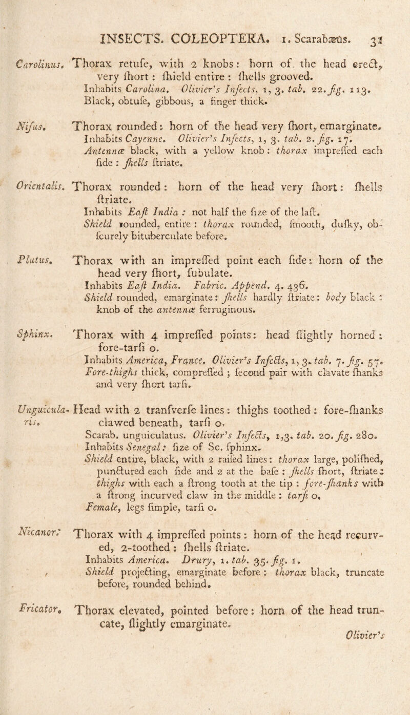 Carolims. Thorax retufe, with 2 knobs: horn of. the head eredl, very fhort : fhield entire : fhells grooved. Inhabits Carolina. Olivier's Infects, 1, 3. 22. fig. 113. Black, obtufe, gibbous, a finger thick. Nifus, Thorax rounded: horn of the head very fhort, emarginate. Inhabits Cayenne. Olivier's Infects, 1, 3. tab. 2. fig. 17. Antennce black, with a yellow knob: thorax impreffed each fide : fhells flriate. Orientalis. Thorax rounded : horn of the head very fhort: fhells flriate. Inhabits Fajl India : not half the fize of the laffc. Shield founded, entire : thorax rounded, imooth, dufky, ob- feurely bituberculate before. Plutus, Thorax with an impreffed point each fide: horn of the head very fhort, fubulate. Inhabits Eafl India. Fabric. Append. 4. 436. Shield rounded, emarginate : fhells hardly flriate : body black 1 knob of the antennce ferruginous. Sphinx. Thorax with 4 impreffed points: head flightly horned: fore-tarfi o. Inhabits America, France. Olivier’s InfeHs, 1, 3 +tab. 7. fg. 57. Fore-thighs thick, compreffed ; fecond pair with clavate (hanks and very fhort tarfi. Unguicula- Head with 2 tranfverfe lines: thighs toothed : fore-flianks Wo. clawed beneath, tarfi o- Scarab. unguiculatus. Olivier’s I?fehisy 1,3, tab. 20. fg. 280. Inhabits Senegal: fize of Sc. fphinx. Shield entire, black, with 2 railed lines: thorax large, polifhed, pumflured each fide and 2 at the bafe : fhells fhort, flriate: thighs with each a flrong tooth at the tip : fore-faanks with a flrong incurved claw in the middle : tarfi o. Female, legs (imple, tarfi o. Nicanori Thorax with 4 impreffed points : horn of the head recurv¬ ed, 2-toothed : fhells flriate. ' 1 Inhabits America. Drury, i.tab. 35. fg. 1. f Shield projefling, emarginate before : thorax black, truncate before, rounded behind. Fricator, Thorax elevated, pointed before: horn of the head trun¬ cate! flightly emarginate. Olivier’s