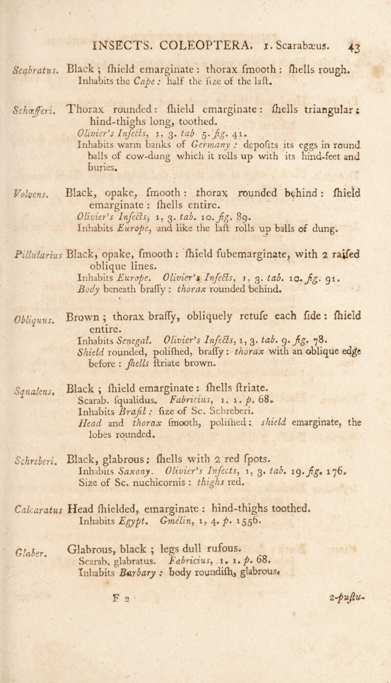Scabratus. Black ; fhield emarginate : thorax fmooth : fhells rough. Inhabits the Cape : half the fize of the la ft. Schxfferi. Thorax rounded: fhield emarginate: {hells triangular; hind-thighs long, toothed. Olivier's Infctls, 1, 3. tab 5. fg. 41. Inhabits warm banks of Germany : depoftts its eggs in round balls of cow-dung which it rolls up with its hind-feet and buries. • . , Volvens. Black, opake, fmooth: thorax rounded behind: fhield emarginate : fhells entire. Olivier's Inf ells, 1, 3. tab. 10 .fg. $9. Inhabits Europe, and like the laft rolls up balls of dung, Pillularius Black, opake, fmooth: fhield fubemarginate, with 2 raifed oblique lines. Inhabits Europe. Olivier's InfeEls, 1, 3. tab. to. fg. 91. Body beneath braffy : thorax rounded behind. f Obliauus. Brown ; thorax braffy, obliquely retufe each fide: fhield entire. Inhabits Senegal. Olivier's InfeEls, 1, 3. tab. 9. fg. 78. Shield rounded, polifhed, braffy: thorax with an oblique ed^e before : fhells ftriate brown. Squalens. Black ; fhield emarginate : fhells ftriate. Scarab, fqualidus. Fabricius, 1, i.p. 68. Inhabits Brajil: fize of Sc. Schreberi. Head and thorax fmooth, poliihed :, shield emarginate, the lobes rounded. Schreberi. Black, glabrous; fhells with 2 red fpots. Inhabits Saxony. Olivier's Infects, 1, 3. tab. 19.fg* 176* Size of Sc. nuchicornis : thighs red. Calcaratus Head fhielded, emarginate : hind-thighs toothed. Inhabits Egypt. Gmelin, i, 4. p. 1556. Glaber, Glabrous, black ; legs dull rufous. Scarab, glabratus. Fabricius, 1. 1. p. 68. Inhabits Barbary : body roundifh, glabrous* F 2