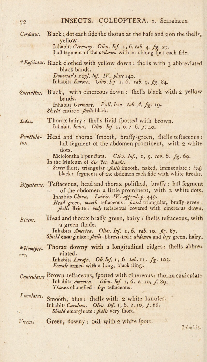 '/t Cordatas, Black ; dot each fide the thorax at the bafe and 2 on the (hells, yellow. Inhabits Germany. Oli<v. Trf 1, 6. tab. 4. fg 27. JLaft legment of thz abdomen with an oblong fpot each fide. #Fafciatus. Black clothed with yellow down : fhplls with 3 abbreviated black bands. Donovan's Engl. Inf. IV. plate 140. Inhabits Eurote. Oliv.Inf 1, 6. tab. 9, Jig. 84. Succinttus. Black, with cinereous down : (hells black With 2 yellow , bands. Inhabits Germany. Pall. Icon. tab. A. fig. 19. Shield entire : Jhells black. Indus, Thorax hairy : (hells livid fpotted with brown. Inhabits India. Oliv. Inf. 1, 6. t. 6. f. 40. Punflula- Head and thorax fmooth, brafiy-green, (hells teftaceous : tv*» lad fegment of the abdomen prominent, with 2 white dots. Melolontha b'pumftata. Cliv. Inft 1, 5. tab. 6. fg. 69. In the IVlufeum of Sir Jos. Banks. Scutel (hort, triangular : fhells fmooth, naked, immacnlate : body black; fegments of the abdomen each fide with white ftreaks. Bigutiatus, Teftaceous, head and thorax polifhed, brafiy : lad fegment of the abdomen a little prominent, with 2 white dots. Inhabits China. Fabric. IV. append, p. 449. Head green, mouth teftaceous: fcut el triangular, brafiy- green : Jhells ftriate : body teftaceous covered with cinereous down» Bidem, Head and thorax brafiy-green, hairy : (hells teftaceous, with a green (hade. Inhabits America. Oliv. Inf. I, 6. tab. 10. fg. 87. Shield emarginate: yW6r abbreviated : abdomen and legs green, hairy a *Hemlpte- Thorax downy with 2 longitudinal ridges: (hells abbre- rus. viated. Inhabits Europe. Oli.Inf 1, 6 tab. 11. fg. 103. Female armed with a long, black fting. Caniculatus Brown-teftaceous, fpotted with cinereous: thoraxcaniculate Inhabits America. Oliv. Inf. 1,6. t. 10, f. 80. Thorax chanelled : legs teftaceous. Lunulatus. gmootj^ b|ue . fhells with 2 white lunules. Inhabits Carolina. Oliv Inf. 1,6. t. 10, f. 88. < Shield emarginate : Jhells very (hort. Virenst Green, downy ; tail with 2 white foots.
