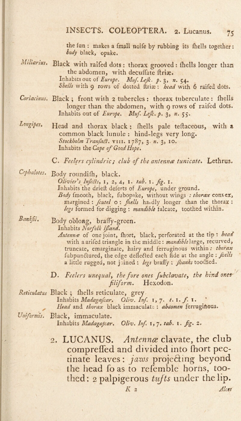 the fun : makes a fmall noife by rubbing its fhells together: body black, opake. Miliarius, Black with raifed dots: thorax grooved: fhells longer than the abdomen, with decullate ftriae. Inhabits out of Europe. Muf. Lejk. p. 3, ».54. Shells with 9 rows of dotted ftrite: head with 6 raifed dots. Coriacinus. Black ; front with 2 tubercles : thorax tuberculate : fhells longer than the abdomen, with 9 rows of raifed dots. Inhabits out of Europe. Muf. Left. p. 3, n. 55. Longipes. Head and thorax black • fhells pale teflaceous, with a common black lunule : hind-legs very long. Stockholm Tranfaft. vm. 1787, 3- n. 3, 10. Inhabits the Cape of Good Hope. C. Feelers cyllndric; club of the antennee tunicate. Lethrus. Cephalotes. Body roundifh, black. Olivier s Infects, 1, 2, d, I. tab. 1. fig. 1. Inhabits the drieil deferts of Europe, under ground. Body fmooth, black, fubopake, without wings ■: thorax corn er, margined : fcutel o : fhells ha»dly longer than the thorax : legs formed for digging : mandible falcate, toothed within. Bankfii. Body oblong, b rally-green. Inhabits Norfolk Jfland. Aniennre of one joint, fhort, black, perforated at the tip : head with aarifed triangle in the middle: mandible\2Xg<z, recurved, truncate, emarginate, hairy and ferruginous within ; thorax fubpundlured, the edge deRefted each fide at the angle : fhells a little rugged, not joined : legs brally ; Jhanks toothed. D. Feelers unequal, the fore ones fubclavatey the hind onef- filiform. Hexodon. Reticulatus Black ; fhells reticulate, grey Inhabits Madagafcar. Oliv. Inf. x ,7. t. X. fi l. Head and thorax black immaculate : abdomen ferruginous. Uniformis. Black, immaculate. Inhabits Madagajcar. Qliv. Inf. 1, 7. tab. 1. fig. 2. 2. LUCANUS. Antenncz clavate, the club comp re fled and divided into fhort pec¬ tinate leaves: jaws projecting beyond the head fo as to referable horns, too¬ thed: 2 palpigerous tufts under the lip. K 2 Alces