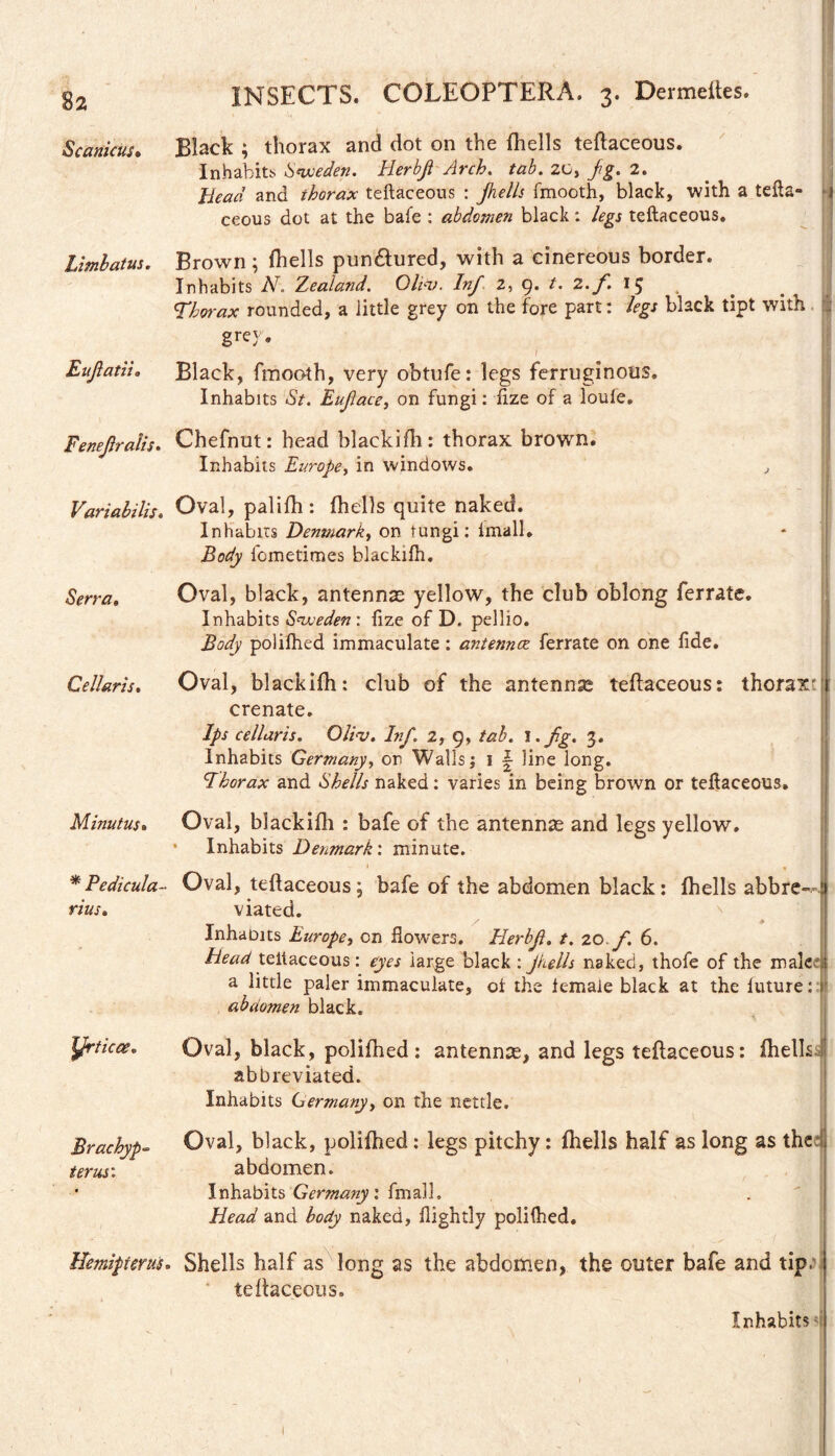 Scanicus* Limbatus. Eufatii. Fenejiralis. Variabilis. Serra» Cellaris. Minutus. * Pedicula¬ rius. yrticce. Brachyp- ter usi ■ < /• Hemipterus. INSECTS. COLEOPTERA. 3. Dermeftes. Black ; thorax and dot on the {hells teftaceous. Inhabits Sweden. Herbji Arch. tab. 2C> fg. 2. Head and thorax teftaceous : Jhells fmooth, black, with a tefta¬ ceous dot at the bafe : abdomen black: /fgj teftaceous. Brown; {hells pun&ured, with a cinereous border. Inhabits Ab Zealand. Olid). Inf 2, 9. /. 2.f. 15 TWox rounded, a little grey on the fore part: black tipt with grey. I Black, fmooth, very obtufe: legs ferruginous. Inhabits <5Y. Euface, on fungi: flze of a loule. Chefnut: head blackifh: thorax brown. Inhabits Europe, in windows. , Oval, palifh: (hells quite naked. Inhabits Denmark, on tungi: lmall. Body fometimes blackifh. Oval, black, antennas yellow, the club oblong ferrate. Inhabits Sweden: lize of D. pellio. Body polifhed immaculate: antennce ferrate on one fide. Oval, blackifh: club of the antennse teftaceous: thorax' crenate. Ips cellaris. Ollv. Inf. 2, 9, tab. I. fg. 3. Inhabits Germany, on Walls; 1 ~ line long. Thorax and Shells naked: varies in being brown or teftaceous. Oval, blackifh : bafe of the antennas and legs yellow. * Inhabits Denmark', minute. - 1 . % Oval, teftaceous; bafe of the abdomen black: {hells abbre-n viated. Inhabits Europe, on flowers. Herbf. t. 20 f. 6. Head teftaceous: eyes large black : Jhells naked, thofe of the male*'* a little paler immaculate, ot the iemaie black at the luture: abdomen black. Oval, black, polifhed: antennas, and legs teftaceous: ftielk abbreviated. Inhabits Germany, on the nettle. Oval, black, poliftied: legs pitchy: {hells half as long as the abdomen. Inhabits Germany', fmall. Head and body naked, {lightly polilhed. Shells half as long as the abdomen, the outer bafe and tip. teftaceous. Inhabits ; I I