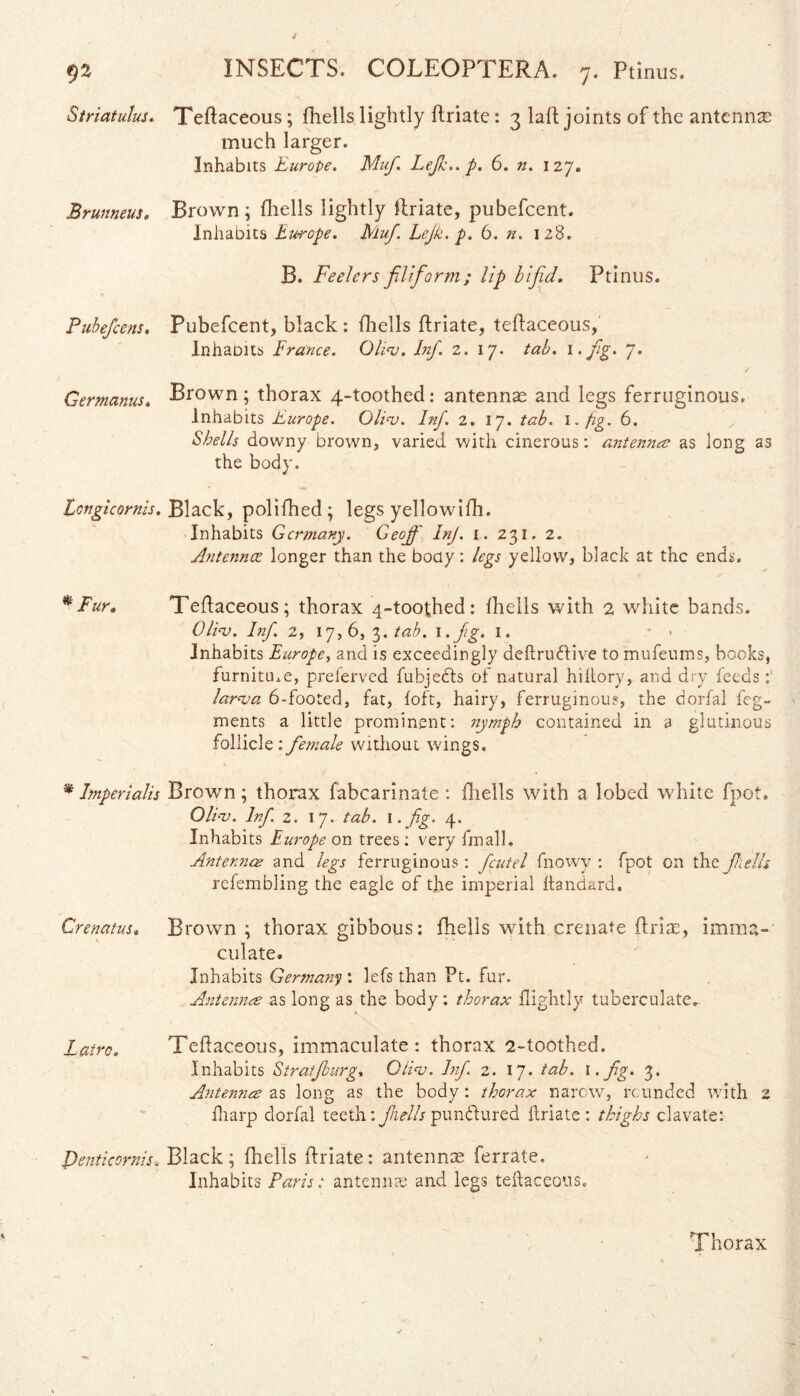 Striatulus. Teftaceous; fhells lightly ftriate: 3 laft joints of the antenna much larger. Inhabits Europe. Muf. Lefk.. p. 6. n. 127. Brunneus, Brown; fliells lightly ftriate, pubefcent. Inhabits Europe. Muf. Lejk. p. 6. n. 128. B. Feelers filiform; lip bifid. Ptinus. Pubefcens. Pubefcent, black : fliells ftriate, teftaceous,' Inhabits France. Oluv. Inf. 2. 17. tab. 1 • fig» 7* Germanus. Brown; thorax 4-toothecl: antennae and legs ferruginous. Inhabits Europe. Glint. Inf. 2. 17. tab. 1 .fig. 6. „ Shells downy brown, varied with cinerous: antenna as long as the body. Eongicornis. Black, polifhed; legs yellowifh. Inhabits Germany. Geoff InJ. 1. 231. 2. Antennce longer than the body: legs yellow, black at the ends. * Fur. Teftaceous; thorax 4-toothed: fhells with 2 white bands. Oli-v. Inf. 2, 17,6, 3. tab. 1 .fig. 1. Inhabits Europe, and is exceedingly deftruftive to mufeums, books, furnittue, prelervcd fubjedts of natural hiltory, and dry feeds larnja 6-footed, fat, foft, hairy, ferruginous, the dorfal feg- ments a little prominent: nymph contained in a glutinous follicle:fe?tiale without wings. * Imperialis Brown; thorax fabcarinate : fliells with a lobed white fpot, Olia. Inf 2. 17. tab. 1. fig. 4. Inhabits Europe on trees: very fmall. Antennce and legs ferruginous: fcutel fnowy : fpot on the fhells refembling the eagle of the imperial ftandard. Crenatus. Brown ; thorax gibbous: fhells with crenate ft rite, imma¬ culate. Inhabits Germany', lefs than Ft. fur. Antenna as long as the body: thorax flightly tuberculate- Latro. Teftaceous, immaculate : thorax 2-toothed. Inhabits Stratjburg, Gli<v. Inf 2. 17. tab. 1. fig. 3. Antenna as long as the body: thorax narow, rounded with 2 fharp dorfal teeth: fhells pundtured ftriate: thighs clavate: Pentieomis, Black ; fhells ftriate: antennce ferrate. Inhabits Paris: antennce and legs teftaceous. Thorax