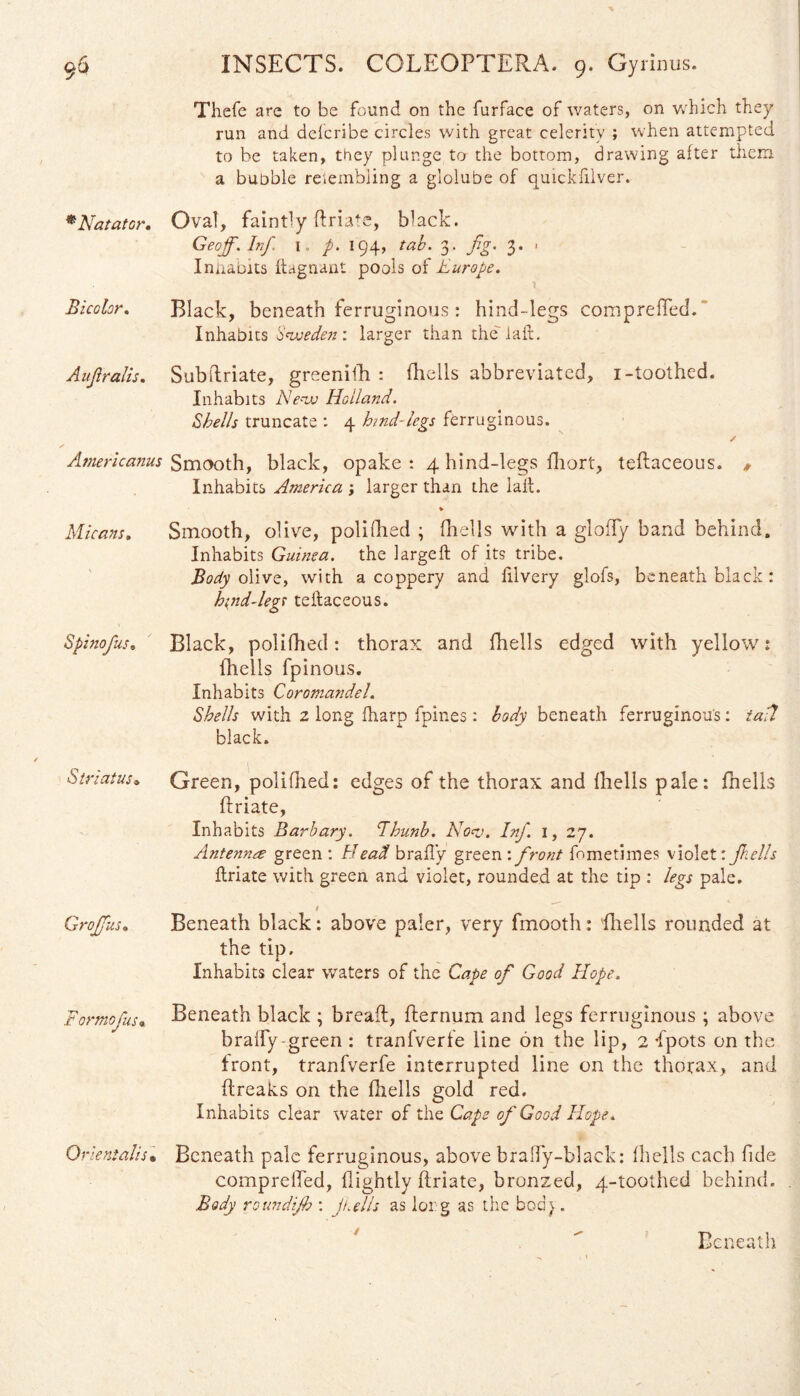 *Natator• Bicolor. Aufiralis. Americanus Micans„ Spinojus, Striatus• Grojfus• For mo jus* Orientalis• INSECTS. COLEOPTERA. 9. Gyrinus. Thefe are to be found on the furface of waters, on which they run and defcribe circles with great celerity ; when attempted to be taken, they plunge to the bottom, drawing after them a bubble reiembling a glolube of quickfilver. Oval, faintly ftriate, black. Geoff. Inf. l.. p. 194, tab. 3. fig. 3. > Iniiabits ftagnant pools of Europe. Black, beneath ferruginous : hind-legs comprelled. Inhabits Sweden: larger than the laid. Subftriate, greeniih : (hells abbreviated, 1-toothed. Inhabits New Holland. Shells truncate : 4 hind-legs ferruginous. Smooth, black, opake : 4 hind-legs fhort, teftaceous. , Inhabits America ; larger than the laid. * Smooth, olive, polifhed ; fhells with a gloffy band behind. Inhabits Guinea, the large ft of its tribe. Body olive, with a coppery and filvery glofs, beneath black : hyid-legs teftaceous. Black, polifhed: thorax and fhells edged with yellow: (hells fpinous. Inhabits Coromandel. Shells with 2 long fharp fpines: body beneath ferruginous: tail black. Green, polifhed: edges of the thorax and fhells pale: (hells ftriate, Inhabits Barbary. Fhunb. Nov. Iff. 27. Antennee green : Head b rally green : front fometimes violet: fhells ftriate with green and violet, rounded at the tip : legs pale. Beneath black: above paler, very fmooth: (hells rounded at the tip. Inhabits clear waters of the Cape of Good Hope. Beneath black ; bread, fternum and legs ferruginous ; above braffy-green : tranfverfe line on the lip, 2 ftpots on the front, tranfverfe interrupted line on the thorax, and {freaks on the (hells gold red. Inhabits clear water of the Cape of Good Hope, Beneath pale ferruginous, above brafty-black: fhells each fide comprelled, (lightly ftriate, bronzed, 4-toothed behind. Body round'jh : ji.el/s as lorg as the bod). Beneath