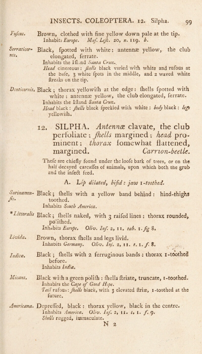 Fufius. Brown, clothed with fine yellow down pale at the tip. Inhabits Europe. MuJ. Lejk. 20, n. 119. b. Serraticor- Black, fpotted with white: antennse yellow, the club elongated, ferrate. Inhabits the IfLnd Santa Cruz• Head cinereous: Jbells black varied with white and rufous at the bafe, 3 white fpots in the middle, and 2 waved white (Ircaks on the tip. Denticomis. Black ; thorax yellowifh at the edge: (hells fpotted with white : antenna* yellow, the club elongated, ferrate. Inhabits the I Hand Santa Cruz. Head black : Jhells black fpeckied with white : body black : legs yellowifh, 12. SILPHA. AntenncE clavate, the club perfoliate; jhells margined ; head pro¬ minent; thorax iomewhat flattened, margined. Carrion-beetle» Thefe are chiefly found under the loofe bark of trees, or on the halt decayed carcaffes of animals, upon which both the grub and the infe£l feed. A. Lip dilated, bifid: jaiv 1-toothed. Surinamn- Black; (hells with a yellow band behind : hind-thighs fi?m toothed. Inhabits South America. * Lit tor ahs Black; (hells naked, with 3 raifed lines ; thorax rounded, poulhed. Inhabits Europe. Qliv. Inf. 2, II. tab. I .fig 8. f Livida. Brown, thorax (hells and legs livid. Inhabits Germany. Oliv. Inj. 2, 11, t. 1. fi $. . ^ Indica. Black ; (hells with 2 ferruginous bands : thorax x-toothed before. Inhabits India. • \ Micans, Black with a green polifh : (hells (friate, truncate, 1-toothed. Inhabits the Cape of Good Hope. I ail rufous: jhells black, with 3 elevated (Iriae, 1-toothed at the future. Americana. Depreffed, black : thorax yellow, black in the centre. Inhabits America. Oliv. Inf. 2, u. tB l. f. 9. Shells rugged, immaculate. N z