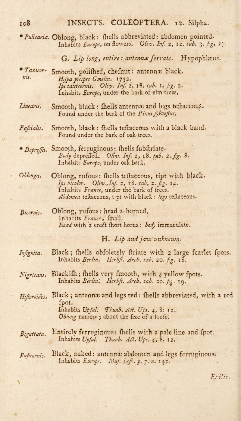 * Pulicaria* Oblong, black: fhells abbreviated: abdomen pointed. Inhabits Europet on flowers. Oliu. Inf 2, 12. tab. 3./£. 27. G* Lip long, entire: antennaeferrate. Hypophl^us. * Lax tear- Smooth, polifhed, chefnut: antennae black. ms' Hr fa pi apes Gmelin. 1732. Ips taxicornis. Olin). Inf 2, 18, tab. I. fg. 2. Inhabits Europe, under the bark of elm trees, tinearis. Smooth, black : fhells antennae and legs teflaceouS. Found under the bark of the Pinus fylvefus. pafcialis♦ Smooth, black: fhells teflaceous with a black band. Found under the bark of oak trees. * Dcpreffa«, Smooth, ferruginous; fhells fubffriate. Body depreffed. Oliv. Inf. 2, 18. tab. 2.fg. 8. Inhabits Europe, under oak bark. Oblonga. Oblong, rufous: fhells teftaceous, tipt with black. bicolor. Qli<v-,Inf. 2, r8. 2. fg. 14. Inhabits France, under the bark of trees. Abdomen teftaceous, tipt with black: legs teftaceous* . Bicomis. Oblong, rufous: head 2-horned, Inhabits France; fmalj. Head with 2 ereft fhort horns : body immaculate. H* Lip and jaw unknown* Black; fhells obfoletely flriate writh 2 large fcarlet fpots. Inhabits Berlin. Herbf. Arch. tab. 20. fg. 18. Blackifh ; fhells very fmooth, with 4 yellow fpots. Inhabits BerlinHerbf. Arch. tab. 20. fig. 19. Black; antennae and legs red: fhells abbreviated, with a red fpot. Inhabits XJpfal. Thunb. Act. Ups. 4, 8: 12. Oblong narrow ; about the fize of a ioufe. i Biguttata. Entirely ferruginous: fhells with a pale line and fpot. Inhabits XJpfal. Thunb. Alt* Ups. 4, 8, 12. Tnfignita. Nigricans• O Flifer aides. Pufcornis. Black, naked: antennae abdomen and legs ferruginous. Inhabits Europe. Muf. Lcjk. p. 7. n. 142. L rill Sc v