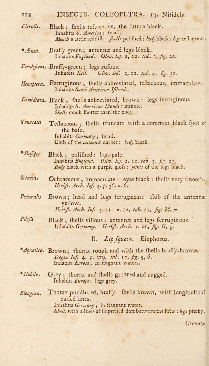 ✓ 112 Floralis, * JEnea. Viridefcem• Hemiptera. Dimidiata, Truncata * Ruffes Se tace a. Redi oralis Pilofa * Aquatica, ' * Nubila i Elongato. INSECTS, COLEOPETRA. 13. Nitidula. Black ; (hells teftaceous, the future black. Inhabits S. America; fmall. Mouth a little reddidi: Jhells polidied : body black : legs tedaceous. Brafly-green; antenna and legs black. Inhabits England. Olina.lnJ. 2, 12. tab. 3, fg. 20, BraiTy-green ; legs rufous. Inhabits Keil. Cli-v. Inf. 2, 12. tab. 4. fg. 3c. Ferruginous ; (hells abbreviated, teilaceous, immaculate» Inhabits South American If lands. f Black; (hells abbreviated, brown : legs ferruginous Inhabits S. American Ifands : minute. Shells much ihorter than the body. Teilaceous ; (hells truncate with a common black fpot at the bafe. Inhabits Germany ; fmall. Club of the antenna: darker : body black Black ; polifhed : legs pale. Inhabits England. Olios. Inf. 2. 12. tab. 5. fg. 23. Body black with a purple glofs: joints of the legs black, Ochraceous ; immaculate : eyes black : (hells very fmooth, Herbf. Arch. Inf. 4. f. 36. n.6. Brown; head and legs ferruginous: club of the antennae yellow. Herbf. Arch. Inf. 4, 41. n. 12, tab. 21, fgi M. m. Black ; (hells villous : antenna and legs ferruginous. Inhabits Germany. Herbf. Arch. t. 21, fg. G, g. V ' / / v B. Lip fquare. Elophorus. Brown; thorax rough and with the (hells brafiy-browm Degeerlnf. 4. p. 379, tab. 13, fg. 5, 6, Inhabits Eurote; in ftagnant waters. Grey ; thorax and (hells grooved and rugged. Inhabits Europe: legs grey. t Thorax pundlured, braffy: (hells brown, with longitudinal raifed lines. Inhabits Germany ; in (lagnant water. Shells with 2 lines of imprefled dots between the (Iris : legs pitchy. C renata
