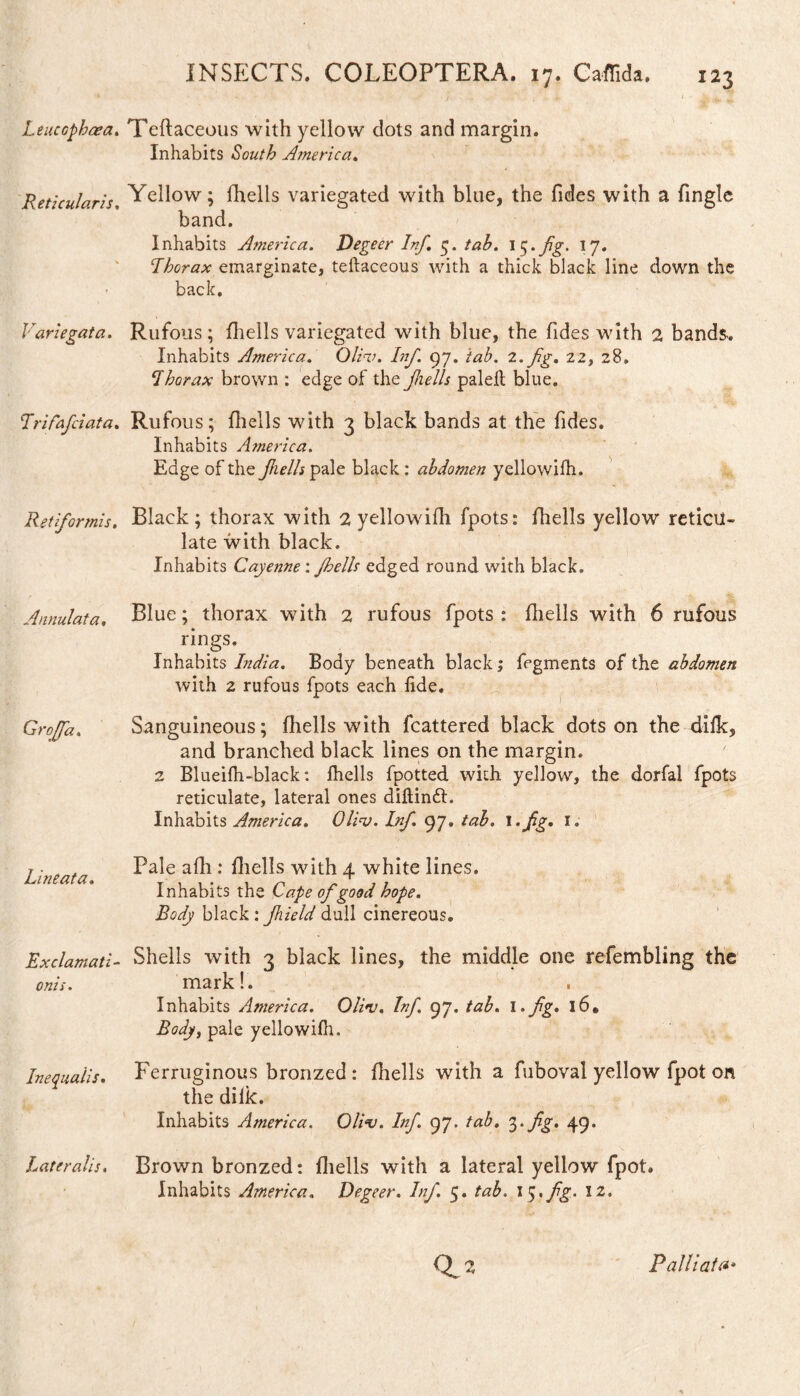 Leucophaea. Teftaceous with yellow dots and margin. Inhabits South America. Reticularis. Yellow; fhells variegated with blue, the fides with a Tingle band. Inhabits America. Degeer Inf. 5. tab. 1 $.fig. 17. Lborax emarginate, teftaceous with a thick black line down the back. Variegata. Rufous ; fhells variegated with blue, the Tides with 2 bands. Inhabits America. Oliv. Inf. 97. tab. 2.fg. 22, 28. Ihorax brown : edge of the fulls paleft blue. Trifafciata. Rufous; fhells with 3 black bands at the Tides. Inhabits America. Edge of the fulls pale black: abdomen yellowilh. Black; thorax with 2 yellowilh fpots: fhells yellow reticu¬ late with black. Inhabits Cayenne : fhells edged round with black. Blue; thorax with 2 rufous fpots : fhells with 6 rufous rings. Inhabits India. Body beneath black; fegments of the abdomen with 2 rufous fpots each fide. Sanguineous; fhells with fcattered black dots on the dilk, and branched black lines on the margin. 2 Blueilh-black: fhells fpotted with yellow, the dorfal fpots reticulate, lateral ones diftindt. Inhabits America. Olinj. Inf 97. tab. 1 .fg. 1. Pale afli: fhells with 4 white lines. Inhabits the Cape of good hope. Body black : field dull cinereous. Shells with 3 black lines, the middle one refembling the mark!. Inhabits America. Oliv. Inf. 97. tab. I. fg» 16. Body, pale yellowifh. Ferruginous bronzed : fhells with a fuboval yellow fpot on the dilk. Inhabits America. Oliv. Inf 97. tab. 3.fig. 49. Brown bronzed: fhells with a lateral yellow fpot. Inhabits America. Degeer. Inf. 5. tab. 15'fg- 12. Retiformis. Annul at a. Groffa. Lineata. Exclamati - onis. Inequaiis. Lateralis. 0.2 Palliata*