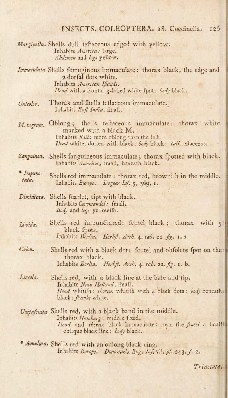 Marginella. Shells dull teflaceous edged with yellow. Inhabits America: large. Abdomen and legs yellow. Immaculata Shells ferruginous immaculate: thorax black, the edge and Uni color. 2 dorfal dots white. Inhabits American IJlands. Head with a frontal 3-lobed white fpot: body black. ' • Thorax and fhells teflaceous immaculate. Inhabits Eaji India, fmall. M. m'vrum. Oblong; fhells teflaceous immaculate: thorax white marked with a black M. Sanguinea. Inhabits Keil: mere oblong than the laffc. Head white, dotted with black : body black: tail teflaceous. Shells fanguineous immaculate; thorax fpotted with black. Inhabits America; fmall, beneath black. * Impune- tata. Shells red immaculate : thorax red, brownifh in the middle. Inhabits Europe. Degeer Inf. 5, 369, 1. Dimidiata. Shells fcarlet, tipt with black. 1 Livida. Inhabits Coromandel: fmall. Body apd legs yellowifh. \ Shells red impunclured: fcutel black ; thorax with 5; black fpots. Inhabits Berlin. Herbji. Arch. 4. tab. 22. fg. 1. a Colon. Shells red with a black dot: fcutel and obfolete fpot on the: thorax black. Inhabits Berlin. Herbji. Arch. 4. tab. 22.fg. 1. b. Lineola. Shells red, with a black line at the bafe and tip. Inhabits Nevu Holland. fmall. Head whitifh : thorax whitifh with 4 black dots : body beneath black: Jhanks white. XJnifafciata Shells red, with a black band in the middle. Inhabits Hamburg: middle fized. Head and thorax black immaculate: near the fcutel a fmall oblique black line : body black. * Annul at a. Shells red with an oblong black ring. Inhabits Europe. Donovan's Eng. Iuf, vii.pi. 243.yi 2. Trino tat a*