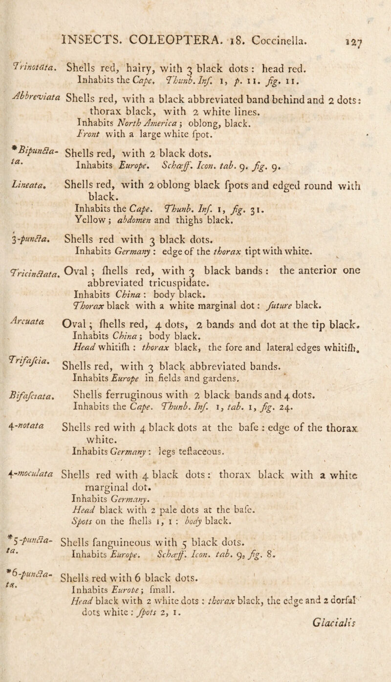 Innotata. Shells red, hairy, with 3 black dots: head red. Inhabits the Cape, Thunb. Inf. 1, p. 11. fig. 11. .Abbreviata Shells red, with a black abbreviated band behind and 2 dots: thorax black, with 2 white lines. Inhabits North America ; oblong, black. Front with a large white fpot. *Bipunfta- Shells red, with 2 black dots. Inhabits Europe. Schcejfi. Icon. tab. 9. Jig. 9, Lineata♦ Shells red, with 2 oblong black fpots and edged round with black. Inhabits the Cape. Thunb. Inf. 1, fig. 31. Yellow; abdomen and thighs black. 4 1-punBa. Shells red with 3 black dots. Inhabits Germany : edge of the thorax tipt with white. Tricinftata. Oval; fhells red, with 3 black bands : the anterior one abbreviated tricuspidate. Inhabits China : body black. Thorax black with a white marginal dot: future black. Oval; fhells red, 4 dots, 2 bands and dot at the tip black* Inhabits China; body black. Head whitifh : thorax black, the fore and lateral edges whitifha Arcuata Trifafcia. Bifiaficiata. i\.-notata Shells red, with 3 black abbreviated bands. Inhabits Europe in fields and gardens. Shells ferruginous with 2 black bands and 4 dots. Inhabits the Cape. Thunb. Inf. 1, tab. 1, fig. 24. Shells red with 4 black dots at the bafe : edge of the thorax, white. Inhabits Germany : legs teflaceous. 4-moculata Shells red with 4 black dots : thorax black with a white marginal dot. Inhabits Germany. Head black with 2 pale dots at the bale. Spots on the fhells i, 1 : body black. * $-punfia- Shells fanguineous with c black dots. ^ to ^ - Inhabits Europe. Schcejj'. Icon. tab. 9, fig. 8. TunAa- Shells red with 6 black dots. Inhabits Eurote\ fmall. Head black with 2 wrhite dots : thorax black, the edge and 2 dorfa! ' dots white : fpots 2, 1. Glacialis