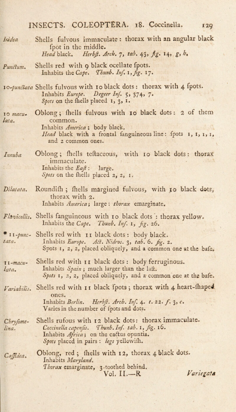 Iride a Punftum. I o-punctata 10 macu- lata. Innuba Dilatata. Flfi-vicollis. * 11 -punc- tat a. II -macu¬ lata. Variabilis. Chryfime- lina. Cajjldea. 129 Shells fulvous immaculate : thorax with an angular black fpot in the middle. Head black, Herbfi. Arch. 7, tab. 43, 14, gt ht Shells red with 9 black ocellate fpots. Inhabits the Cape. Thttnb. Inf. 1, fig. 17. Shells fulvous with 10 black dots : thorax with 4 fpots. Inhabits Europe. Degeer Inf. 5, 374, 7» Spots on the fhells placed 1, 3, 1. Oblong; fhells fulvous with 10 black dots: 2 of them common. Inhabits America : body black. Head black with a frontal fanguineous line: fpots 1, t, i, 1, and 2 common ones. Oblong; fhells teftaceous, with 10 black dots: thorax immaculate. • , - Inhabits the Eafi : large. Spots on the fhells placed 2, 2, 1. Roundifh ; fhells margined fulvous, with 10 black dotss thorax with 2. Inhabits America; large: thorax emarginate. Shells fanguineous with 10 black dots ': thorax yellow. Inhabits the Cape. Thunb. Inf. 1, Jig. 26. Shells red with 11 black dots : body black. Inhabits Europe. Att. Nidros. 3, tab. 6. fig. 2. Spots 1, 2, 2, placed obliquely, and a common one at the bafe* Shells red with 11 black dots : body ferruginous. Inhabits Spain ; much larger than the laib. Spots 1, 2, 2, placed obliquely, and a common one at the bafe. Shells red with 11 black fpots; thorax with 4 heart-fhape4 ones. Inhabits Berlin. Herbfi. Arch. Inf. 4. t. 22. f. 3, c. Varies in the number of fpots and dots. Shells rufous with 12 black dots: thorax immaculate. Coccinella capenjis. Fhunb.Inf. tab. I, fig. 16. Inhabits Africa; on the ca£tus opuntia. Spots placed in pairs : legs yellowilh. Oblong, red ; fhells with 12, thorax 4 black dots. Inhabits Maryland. 1 Iborax emarginate, 3.toothed behind, VoL II.—R Variegata