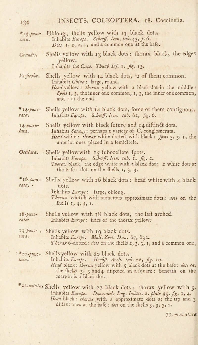 * i 3 -puncm iaia, Grandis. Verficolor. J 9 14 -punc- tutu • lata. O cell at a. -punc¬ tata. • I %-punc¬ tata* it)-punc- j tat a. * ^zo-punc- tat a. *'2Z-notata. Oblong; fhells yellow with 13 black dots. Inhabits Europe. Schaff. Icon. tab. 43, /1 6. De/! 1, 2, 2, i, and a common one at the bafe. Shells yellow with 13 black dots : thorax black* the edges yellow. Inhabits the Cape. Thunb Inf. 1. fig. 13. Shells yellow with 14 black dots, 2 of them common. Inhabits China ; large, round. Head yellow : thorax yellow with a black dot in the middle: Spots 1,3, the inner one common, 1,3, the inner one common, and 1 at the end. Shells yellow with 14 black dots, fomc of them contiguous. Inhabits Europe. Schceff. Icon. tab. 62, jig. 6. Shells yellow with black future and 14diftindb dots. Inhabits Saxony: perhaps a variety of C. conglomerata. Head white : thorax white dotted with black : fipots 3, 3, 1, the anterior ones placed in a femicirclc. Shells yellow with 15 fubocellate fpots. Inhabits Europe. Schaff. Icon. tab. 1. fig. 2. Thorax black, the edge white with a black dot; 2 white dots at the bafe : clots on the fhells 1, 3, 3. Shells yellow with 16 black dots : head white with 4 black dots. Inhabits Europe : large, oblong. Thorax whitifh with numerous approximate dot3: dots on the fhells 1, 3, 3, 1, Shells yellow with 18 black dots, the lad: arched. Inhabits Europe ; fides of the thorax yellow: Shells yellow with 19 black dots. Inhabits Europe. Mull. Zool. Dan. 67, 632. Thorax 6-dotted: dots on the fhells 2, 3, 3, 1, and a common ones Shells yellow with 20 black dots. Inhabits Europe. Herbfi. Arch. tab. 2 2, fig. 10, Head black : thorax yellow with 5 black dots at the bafe : dots on the fhells 3, 3 and4 difpofed >n a fquare : beneath on the margin is a black dot. Shells yellow with 22 black dots : thorax yellow with 5. Inhabits Europe. Donoruans Eng. Infells. 2. plate 39> fig. 1, 4. Head black: thorax with 2 approximate dots at the tip and 3 dillant ones at the bafe: dots on the fhells 3, 3, 3, 2. 22 -m acid at ft