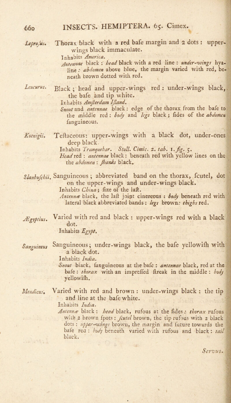 Leprofus* Thorax black with a red bafe margin and 2 dots : upper- wings black immaculate. Inhabits America. Antennae black : head black with a red line : under-wings hya¬ line : abdomen above blue, the margin varied with red, be¬ neath brown dotted with red. Leucurus, Black; head and upper-wings red: under-wings black,, the bafe and tip white. Inhabits Amjierdam IJland. Snout and antennae black : edge of the thorax from the bafe to the middle red : body and legs black ; fides of the abdomen fanguineous. * / Koenigii• Teltaceous: upper-wings with a black dot, under-ones deep black. Inhabits Tranquebar. Stoll. Cimic. 2. tab. I .Jig. 5. Headrtd : antennae black: beneath red with yellow lines on the the abdomen : Jhanks black. Slanbufcbii. Sanguineous ; abbreviated band on the thorax, fcutel, dot on the upper-wings and under-wings black. Inhabits China ; fize of the laft. Antennce black, the laft joipt cinereous : body beneath red with lateral black abbreviated bands: legs brown.* thighs ltd.. JErvfitius. Varied with red and black : upper-wings red with a black dot. Inhabits Egypt. Sanguineus Sanguineous; under-wings black, the bafe yellowifh with a black dot. Inhabits India. Snout blacky fanguineous at the bafe : antennae black, red at the bale : thorax with an impreffed ftreak in the middle : body yellowifh. Mendicus; Varied with red and brown : under-wings black : the tip and line at the bafew'hite. Inhabits India. Antennas black : head black, rufous at the ftdes: thorax rufous with 2 brown fpots : fcutel brown, the tip rufous with 2 black dots : vpper-wings brown, the margin and future towards the bafe red : body beneath varied with rufous and black : tail black. Servus.